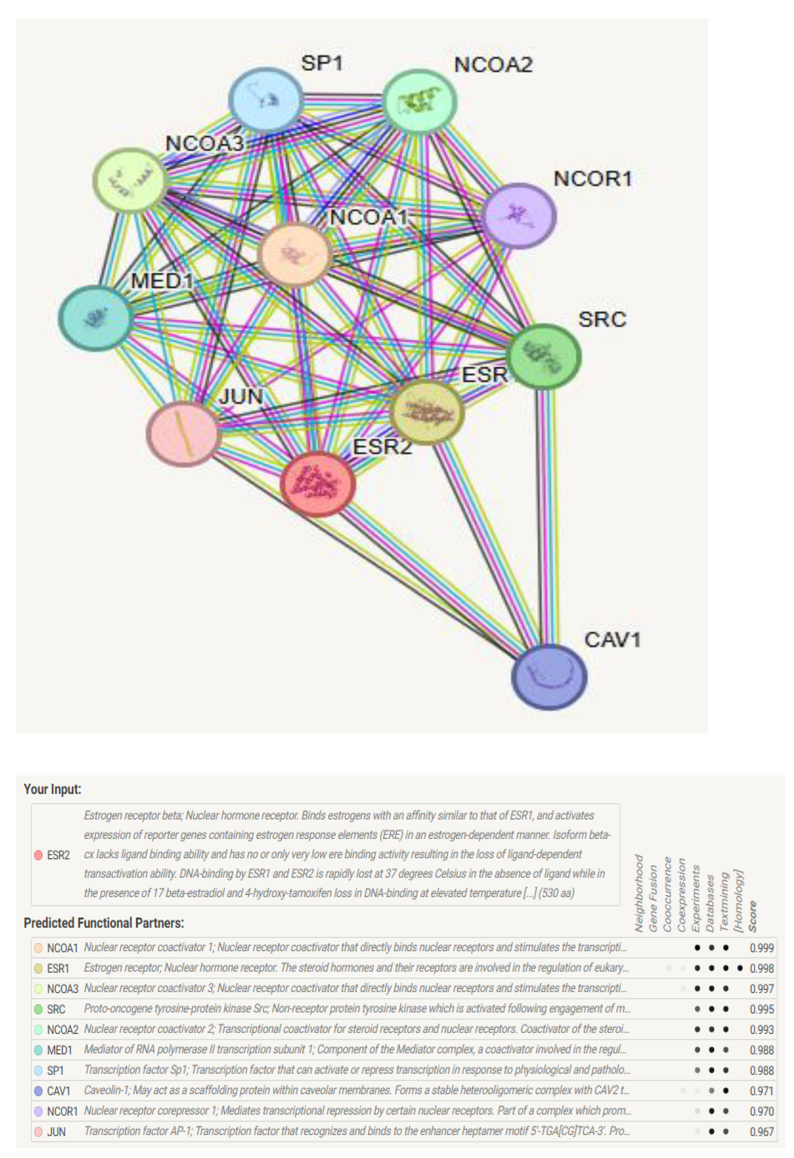 Preprints 170346 g004