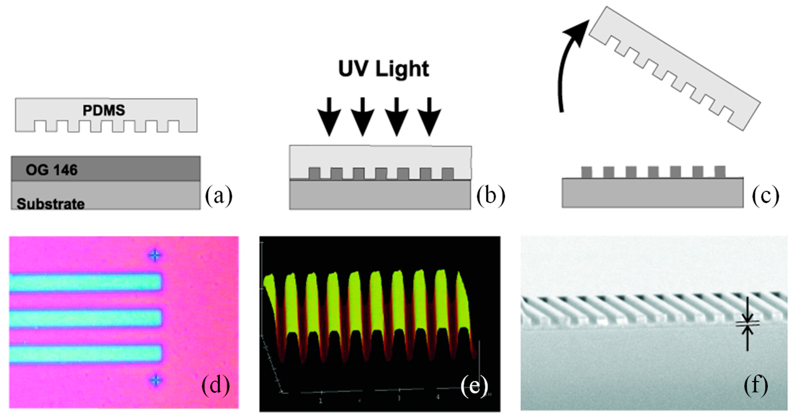 Preprints 165860 g002