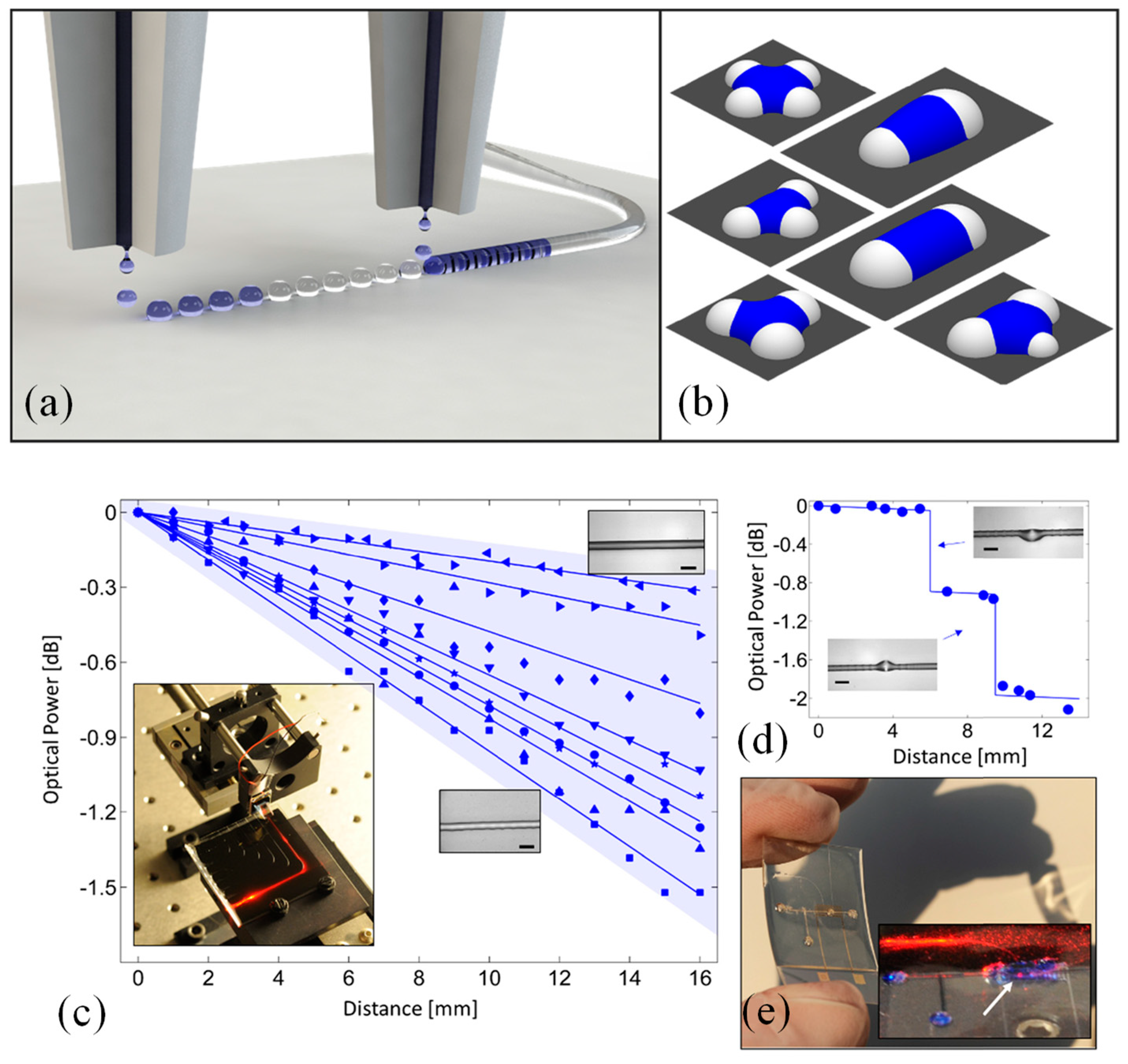 Preprints 165860 g004
