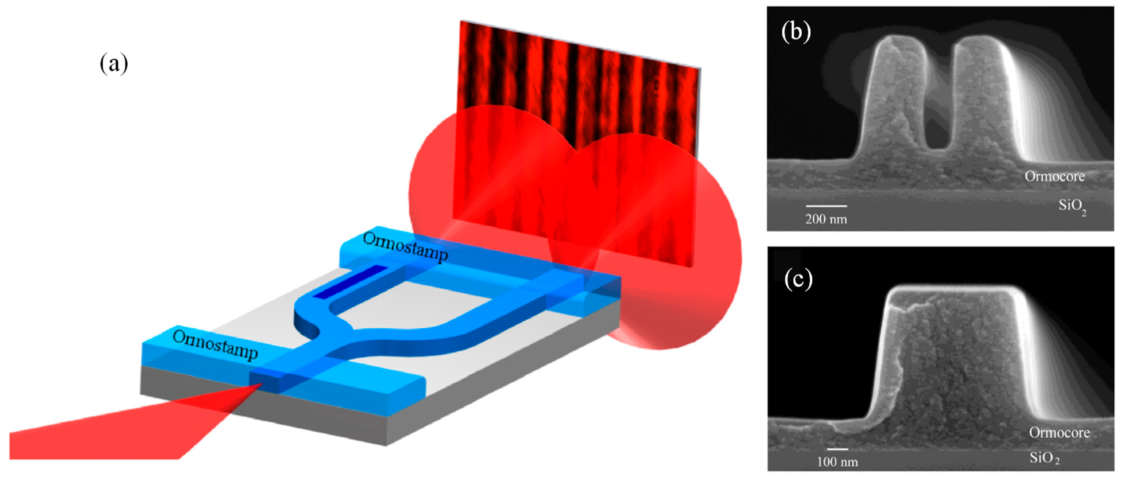 Preprints 165860 g005