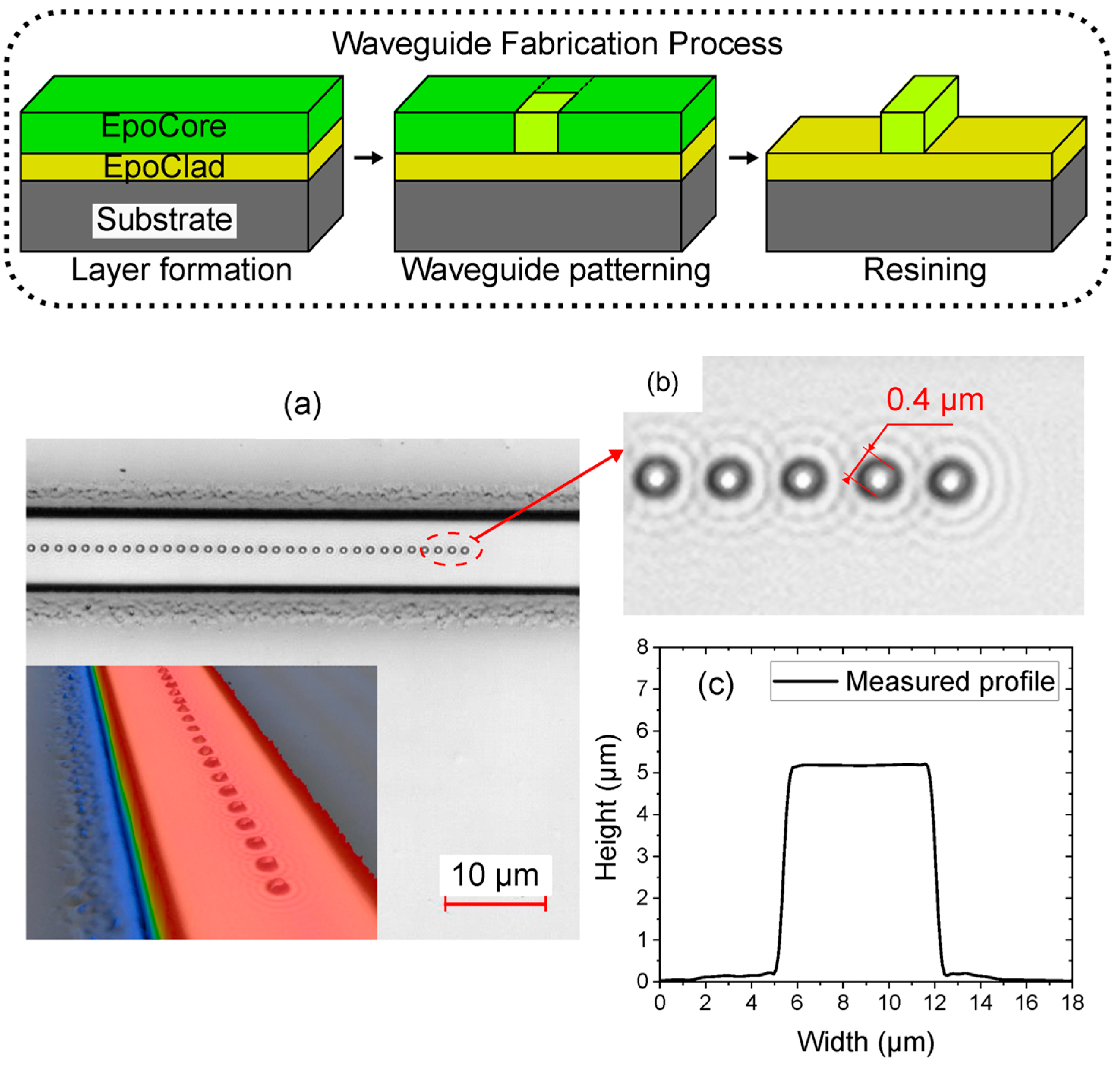 Preprints 165860 g006