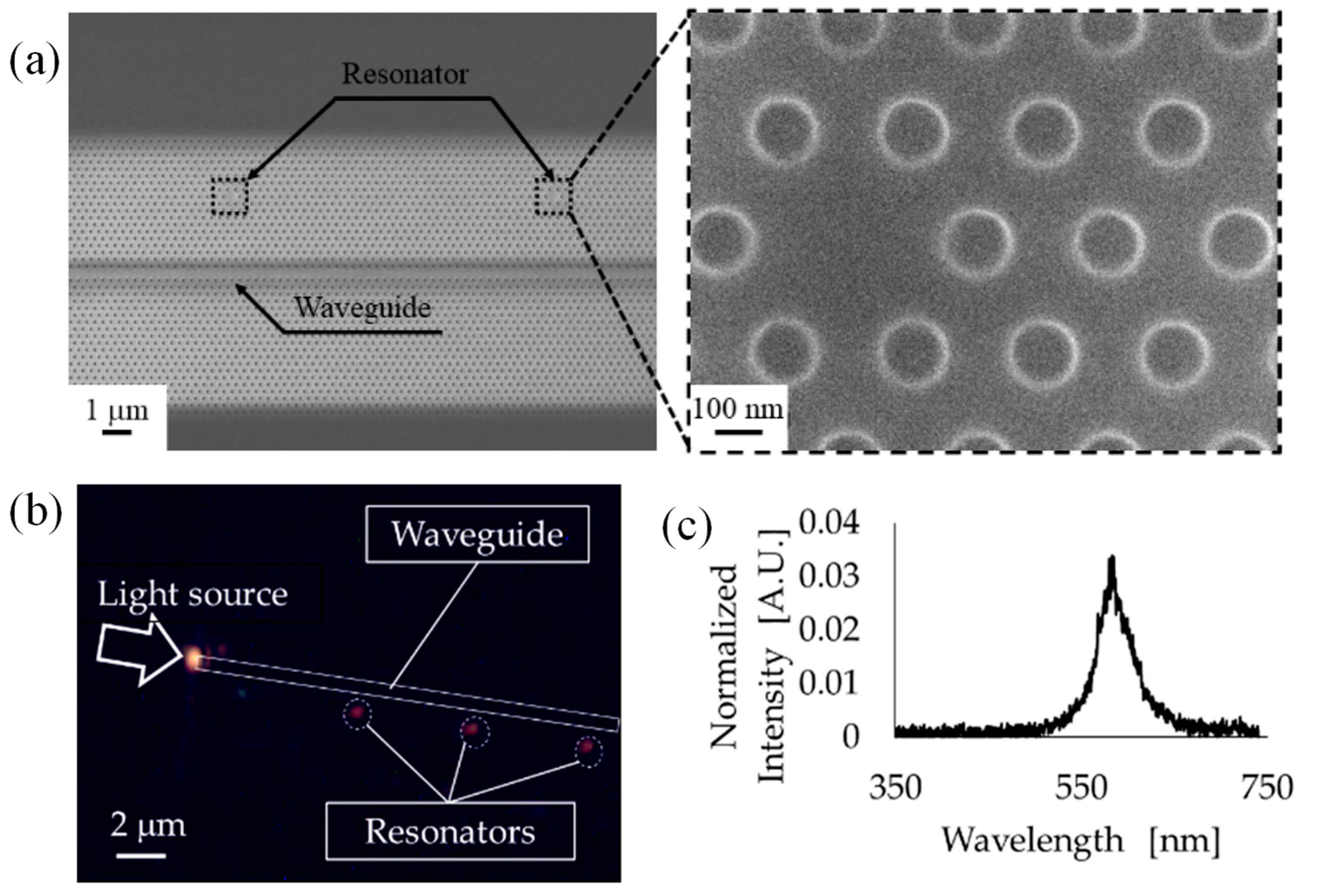 Preprints 165860 g007