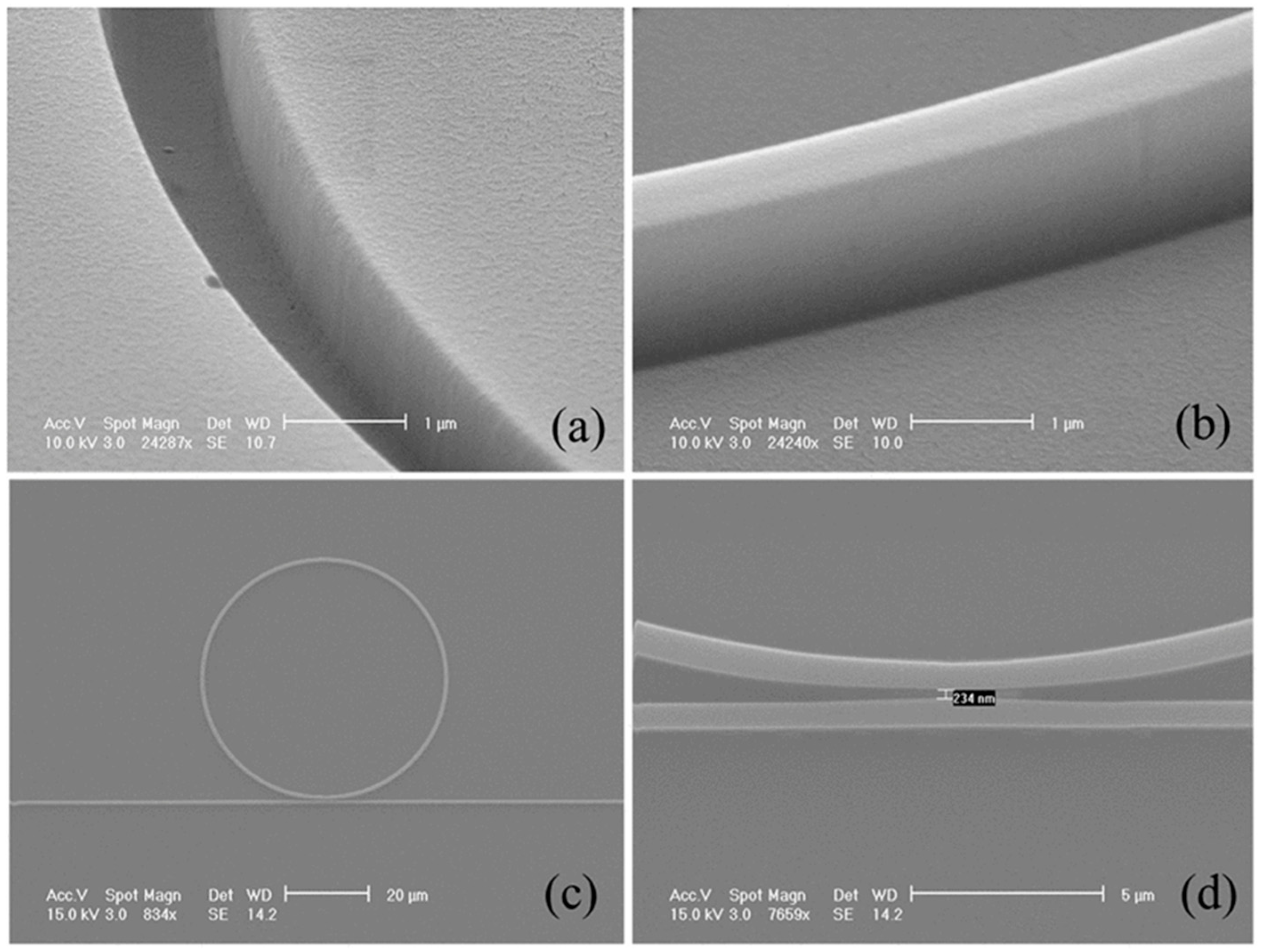 Preprints 165860 g008