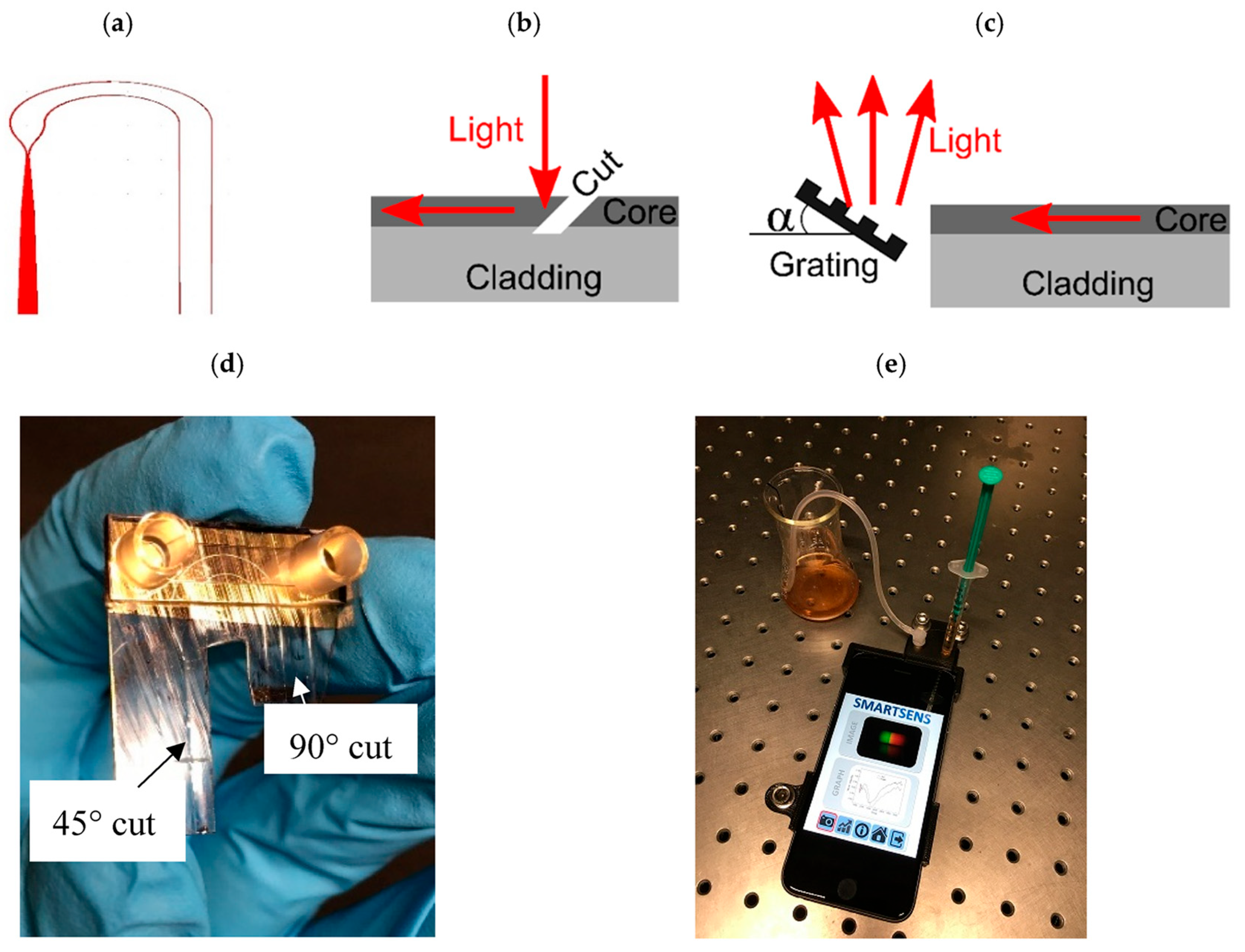 Preprints 165860 g011