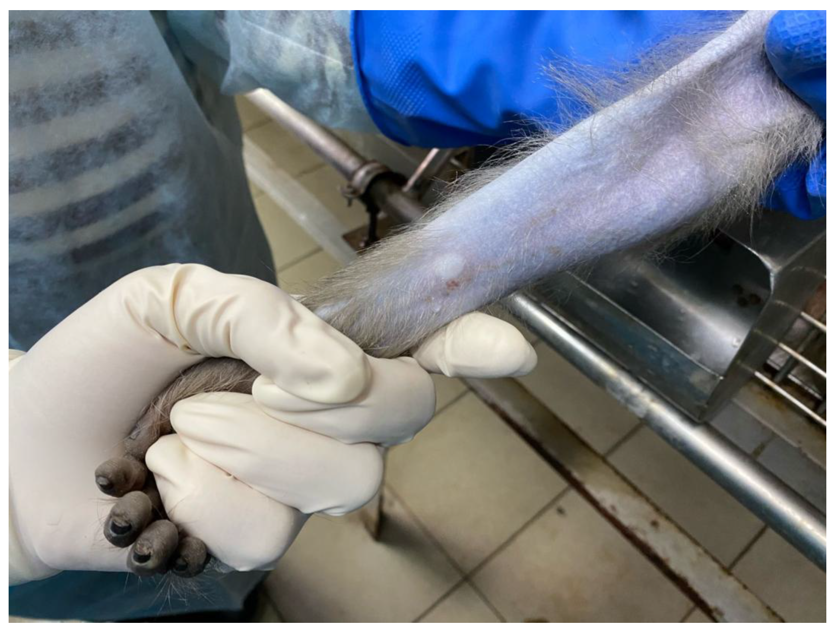 Preprints 171408 g003