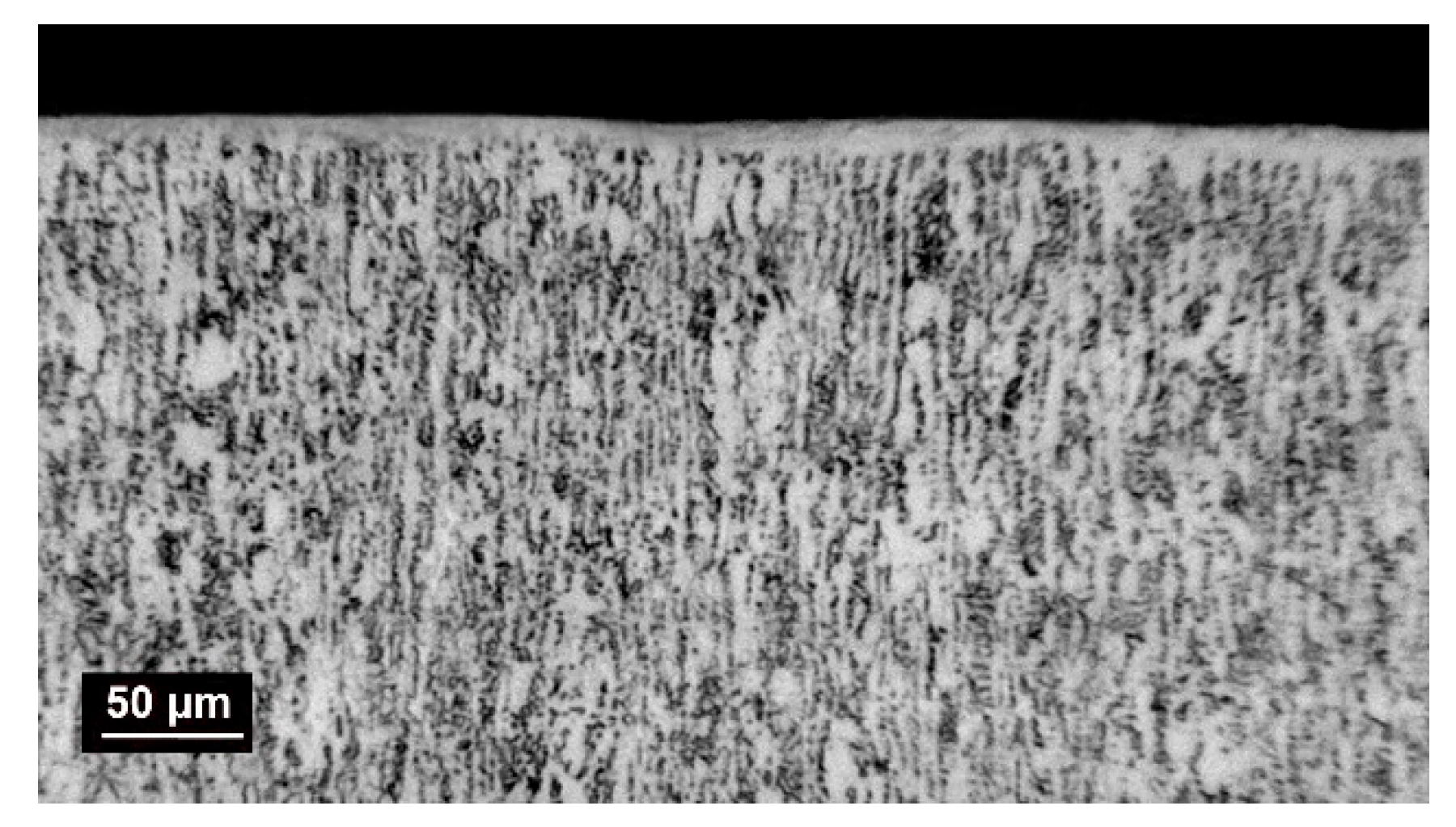 Preprints 203620 g002