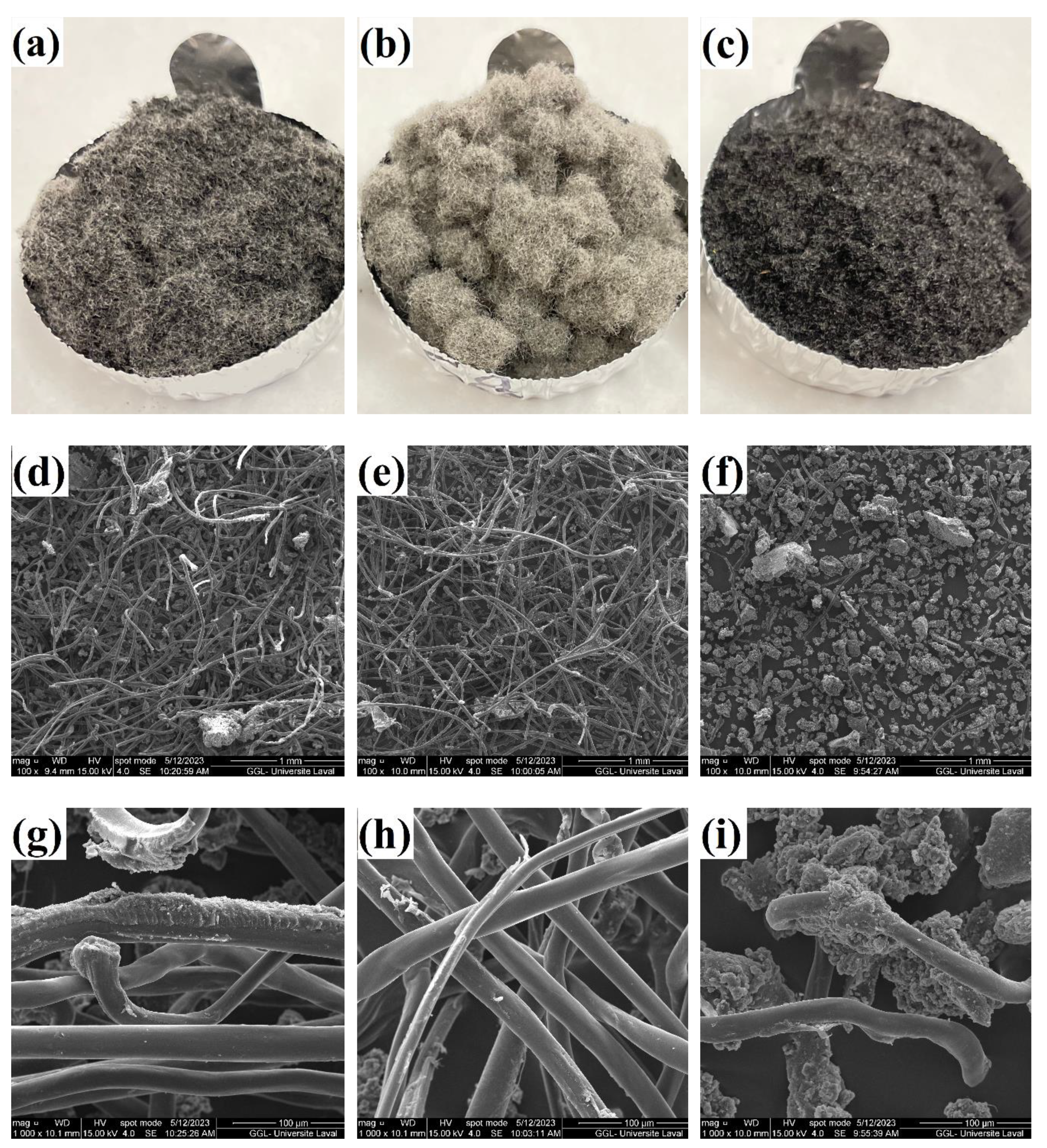 Preprints 77705 g002