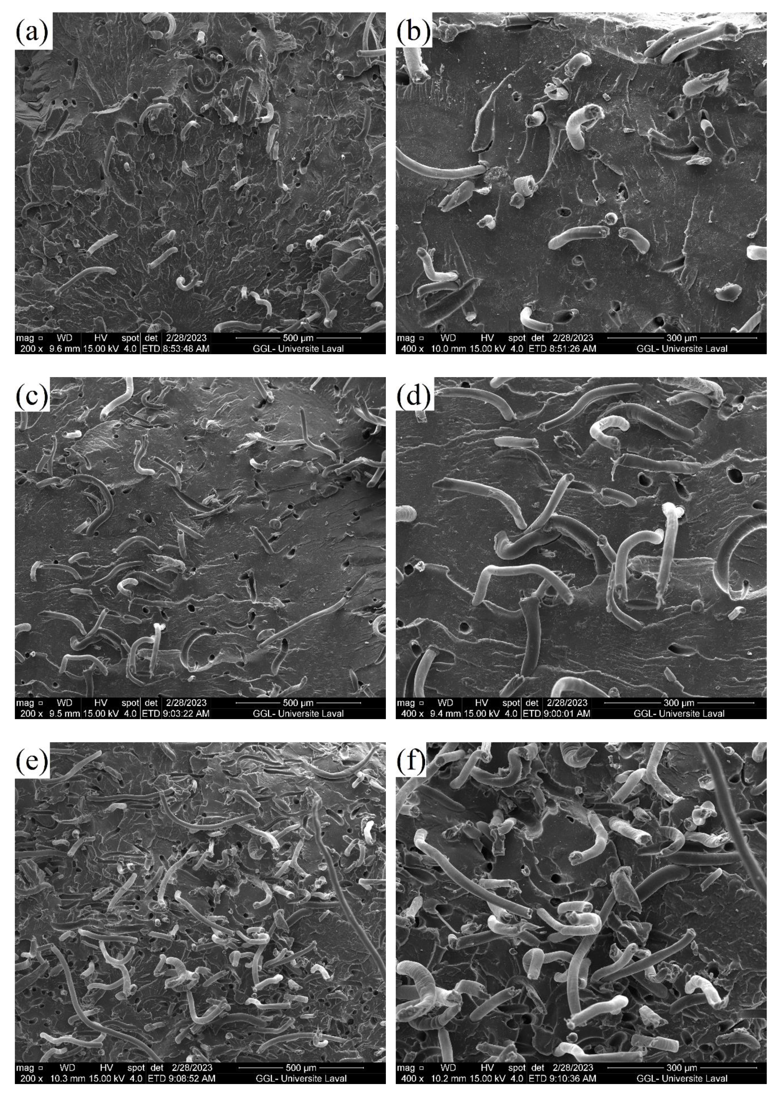 Preprints 77705 g007a