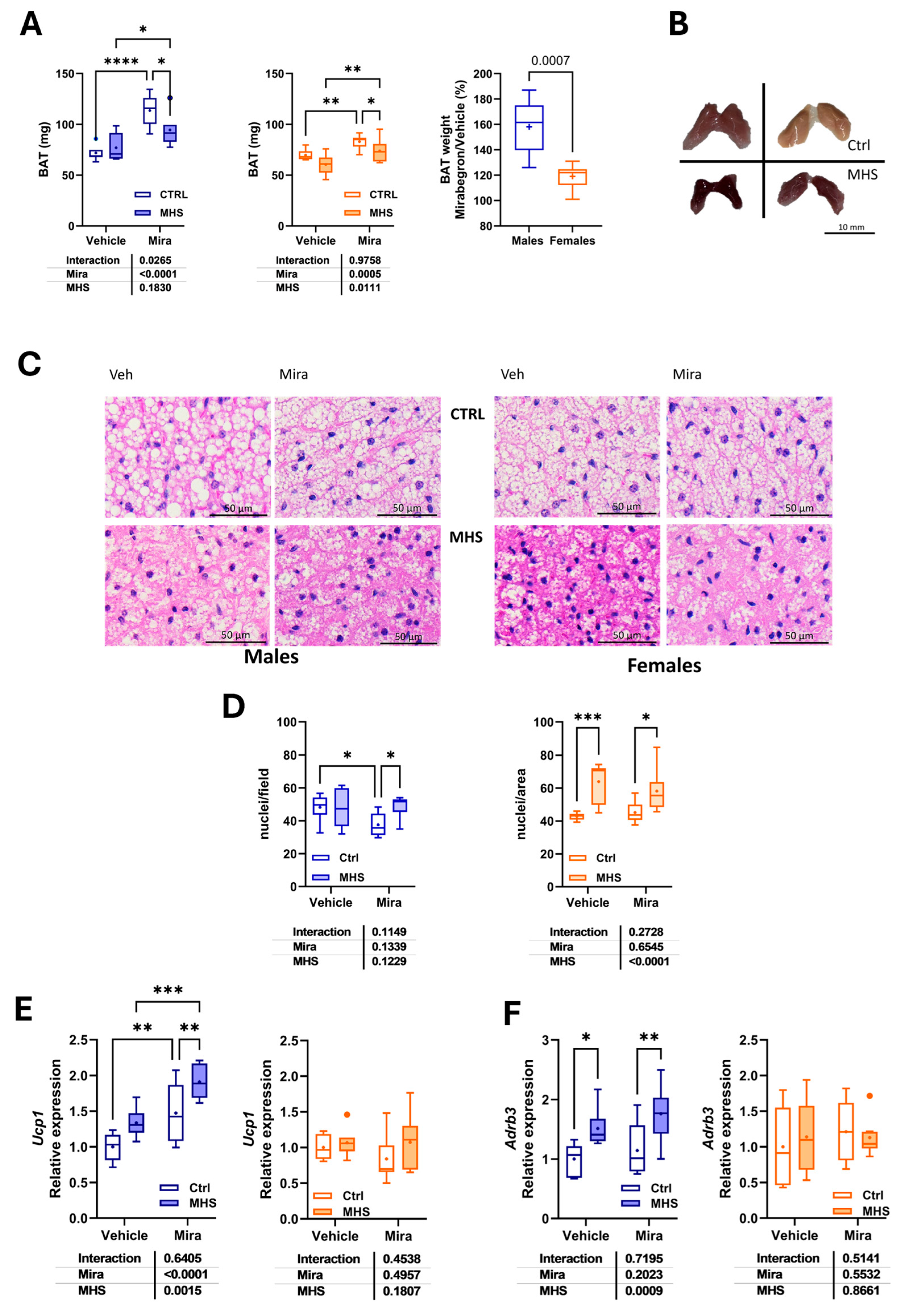 Preprints 178406 g004
