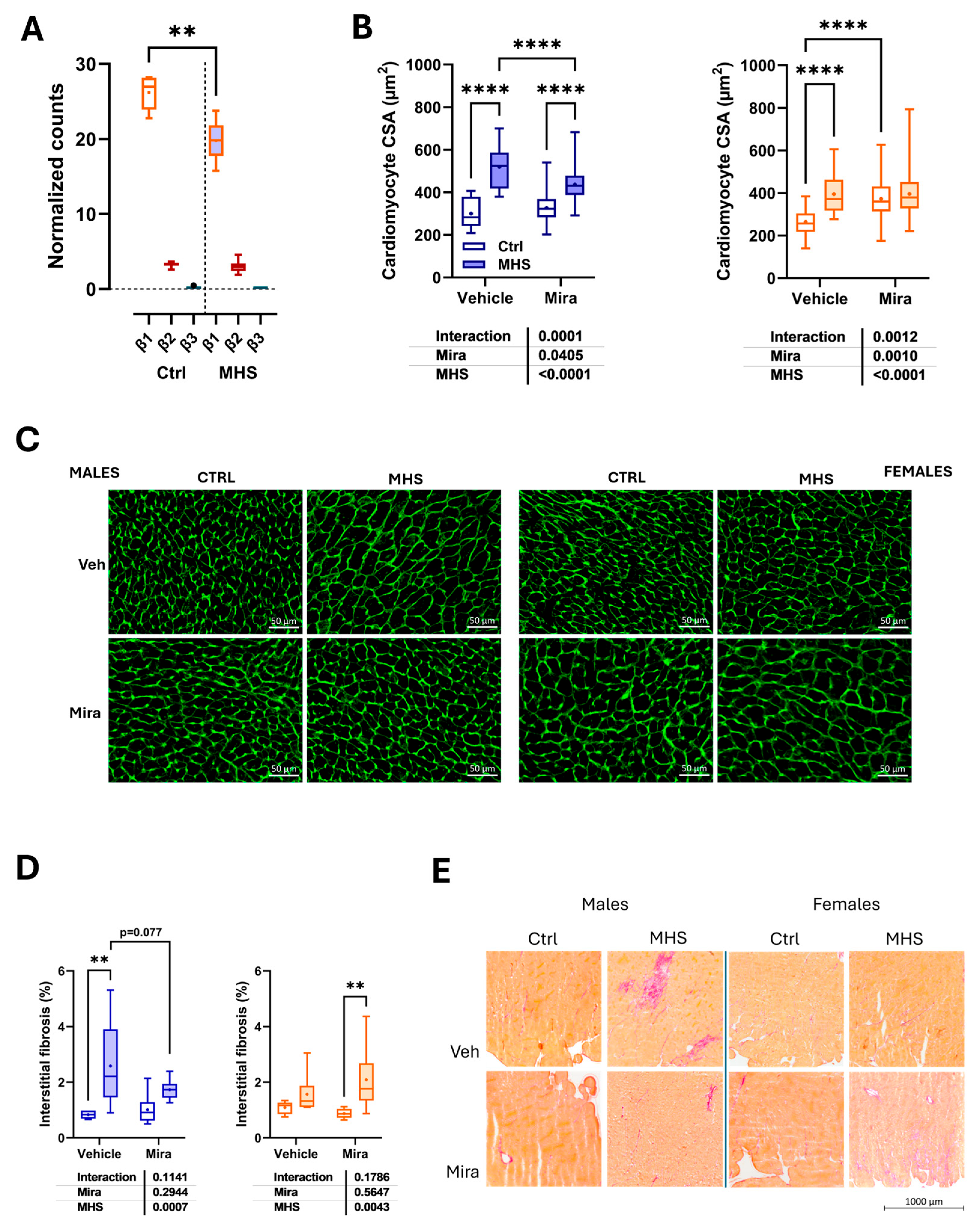 Preprints 178406 g005