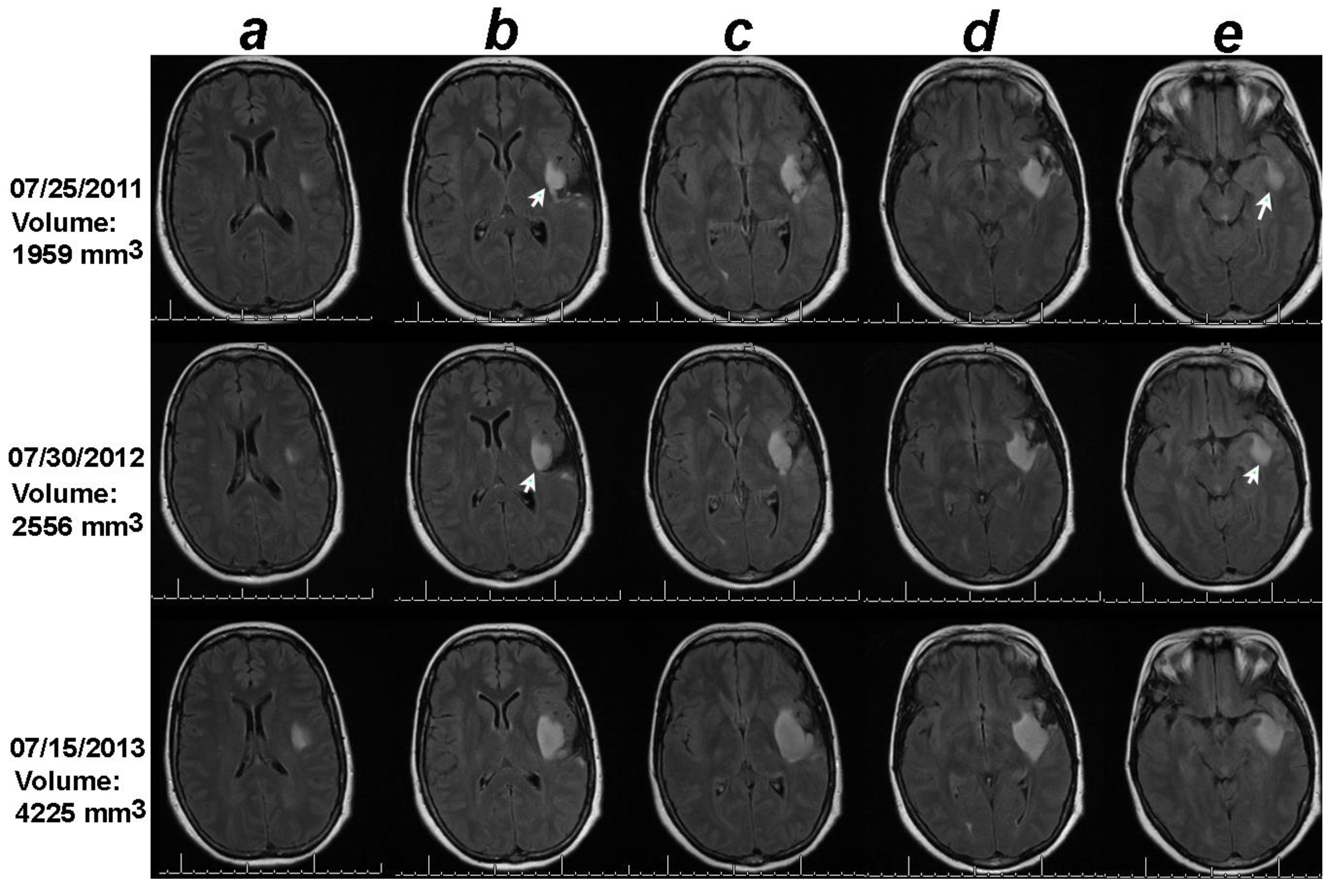 Preprints 145488 g001