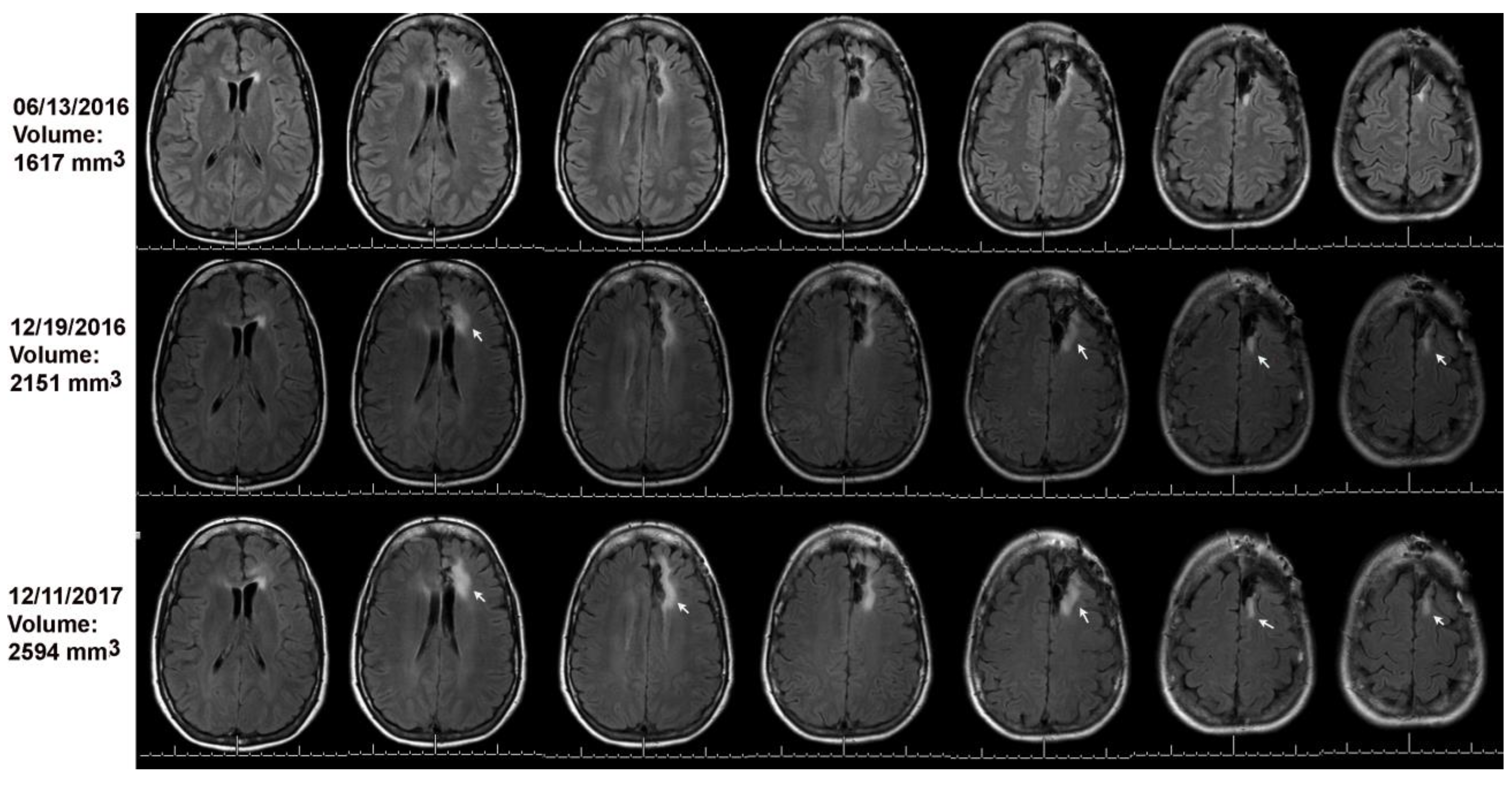 Preprints 145488 g003