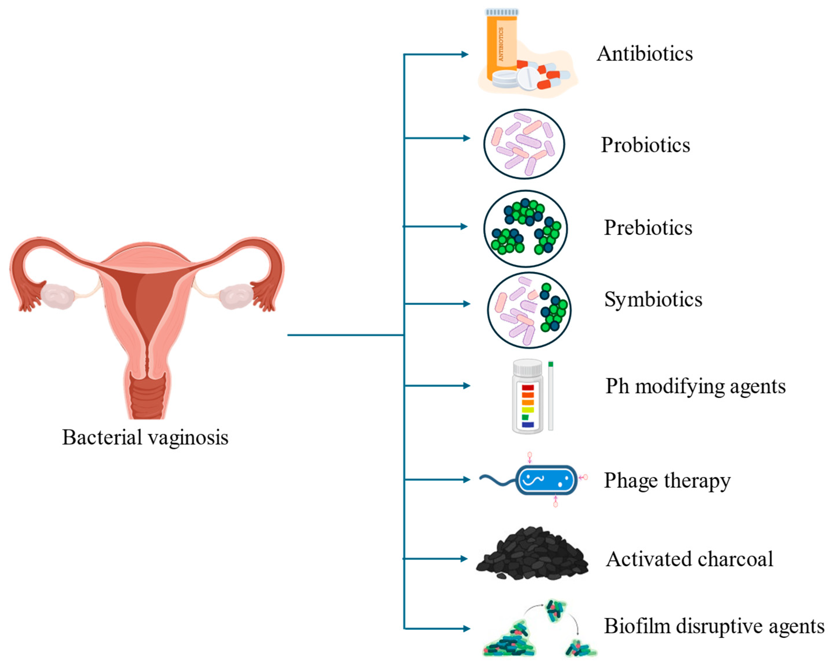 Preprints 120042 g001