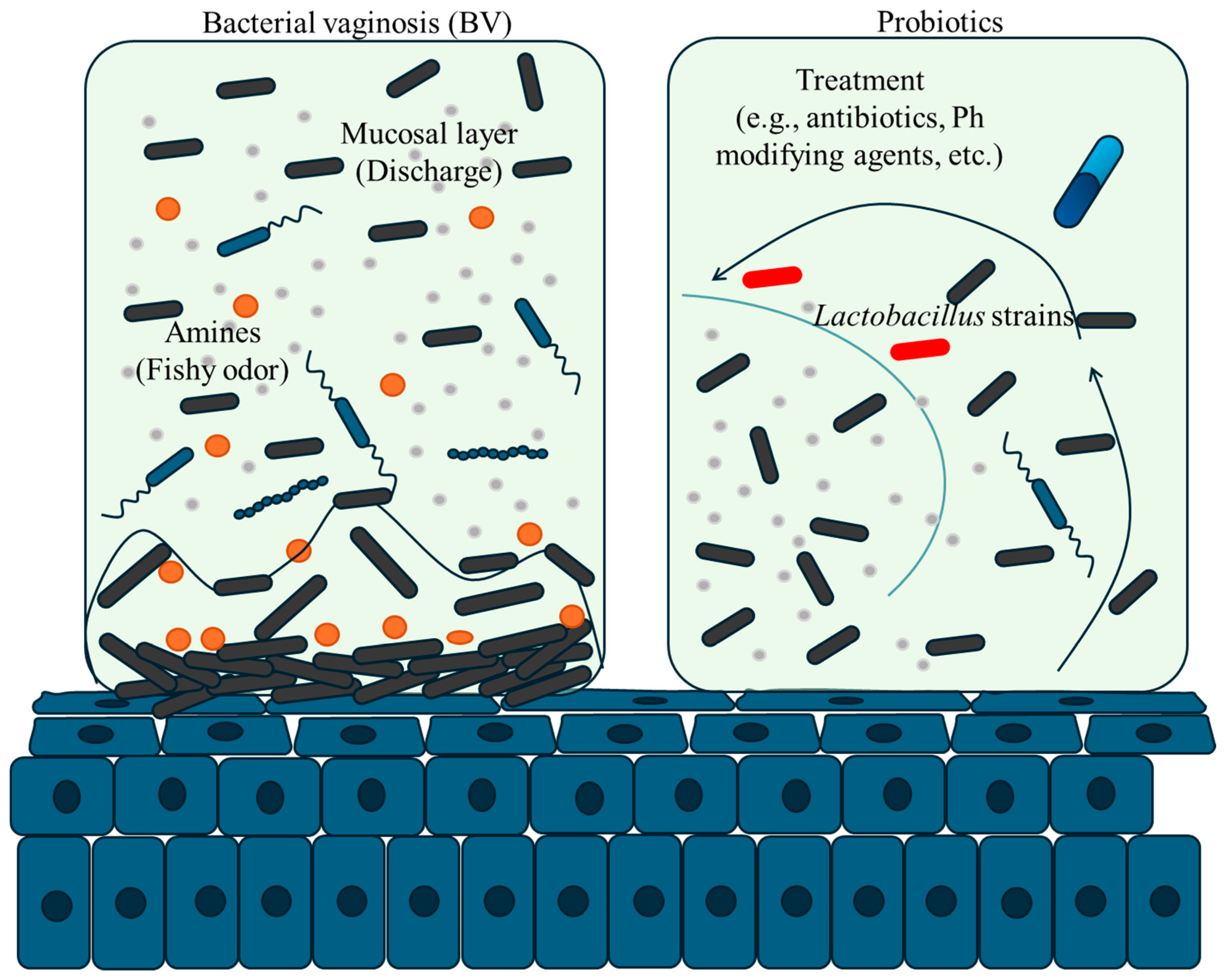 Preprints 120042 g002