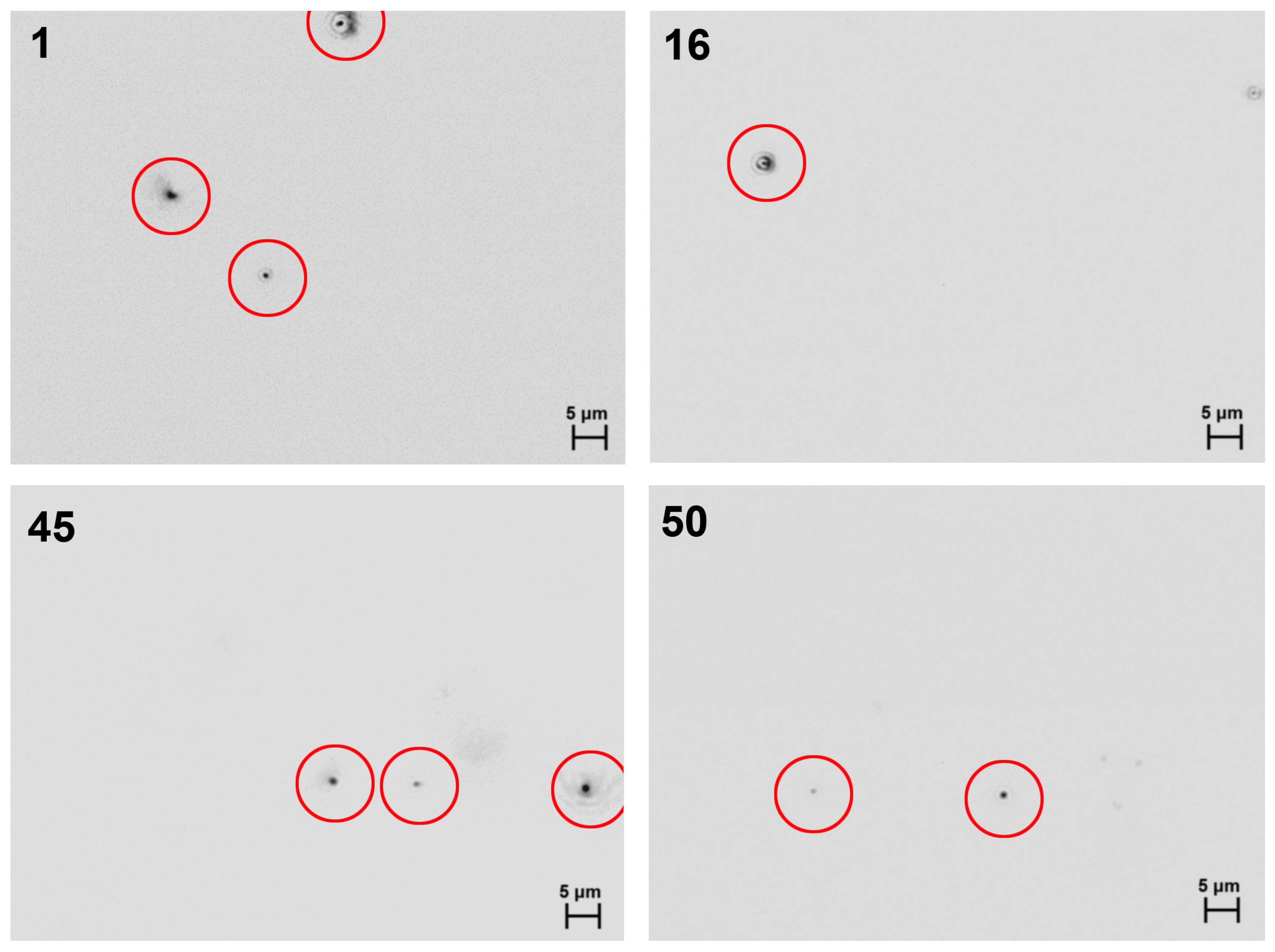 Preprints 205796 g006 Preprints 205796 g006