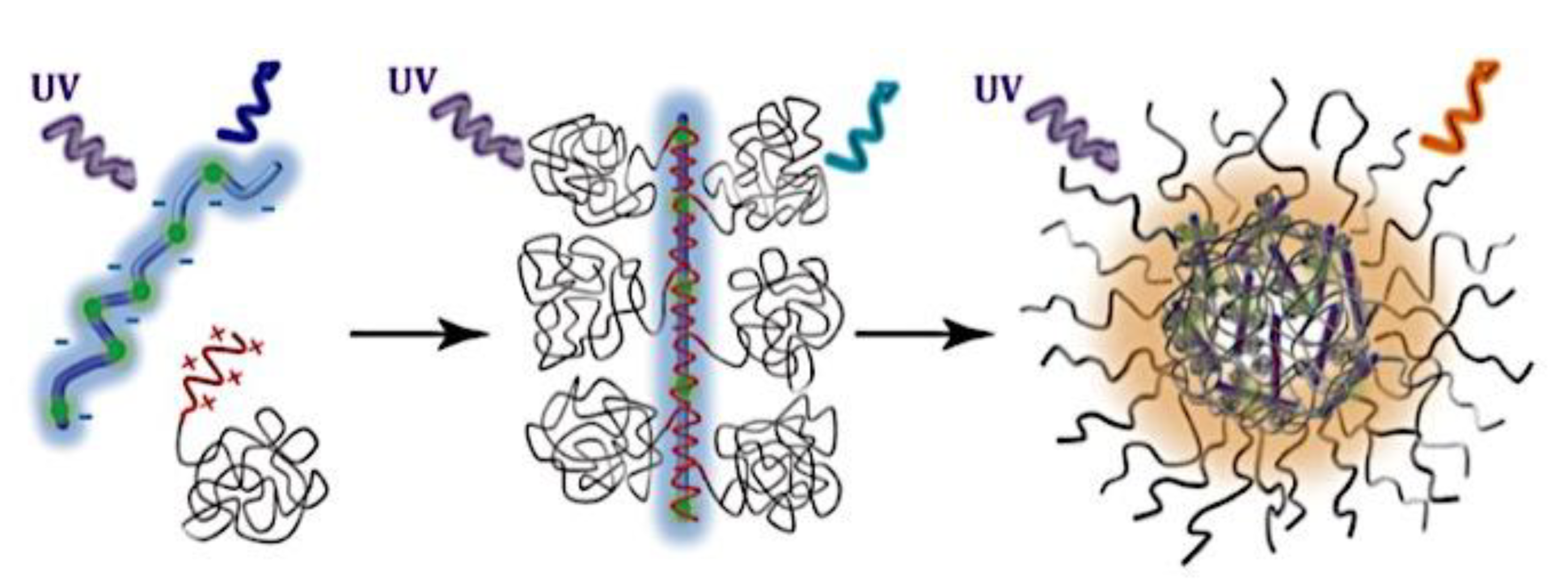 Preprints 180664 g001