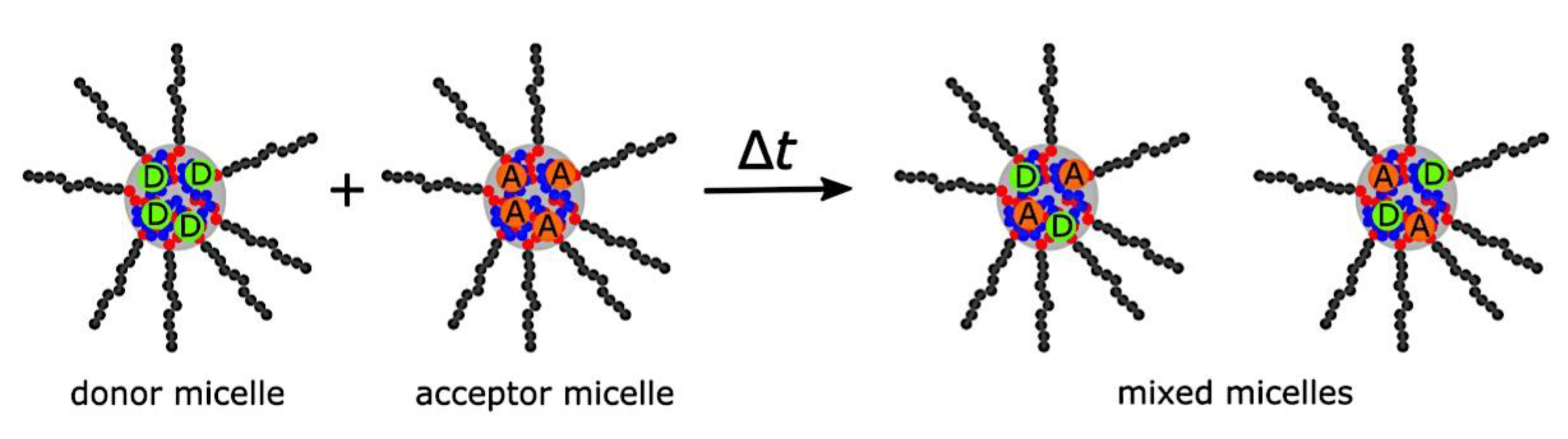 Preprints 180664 g005