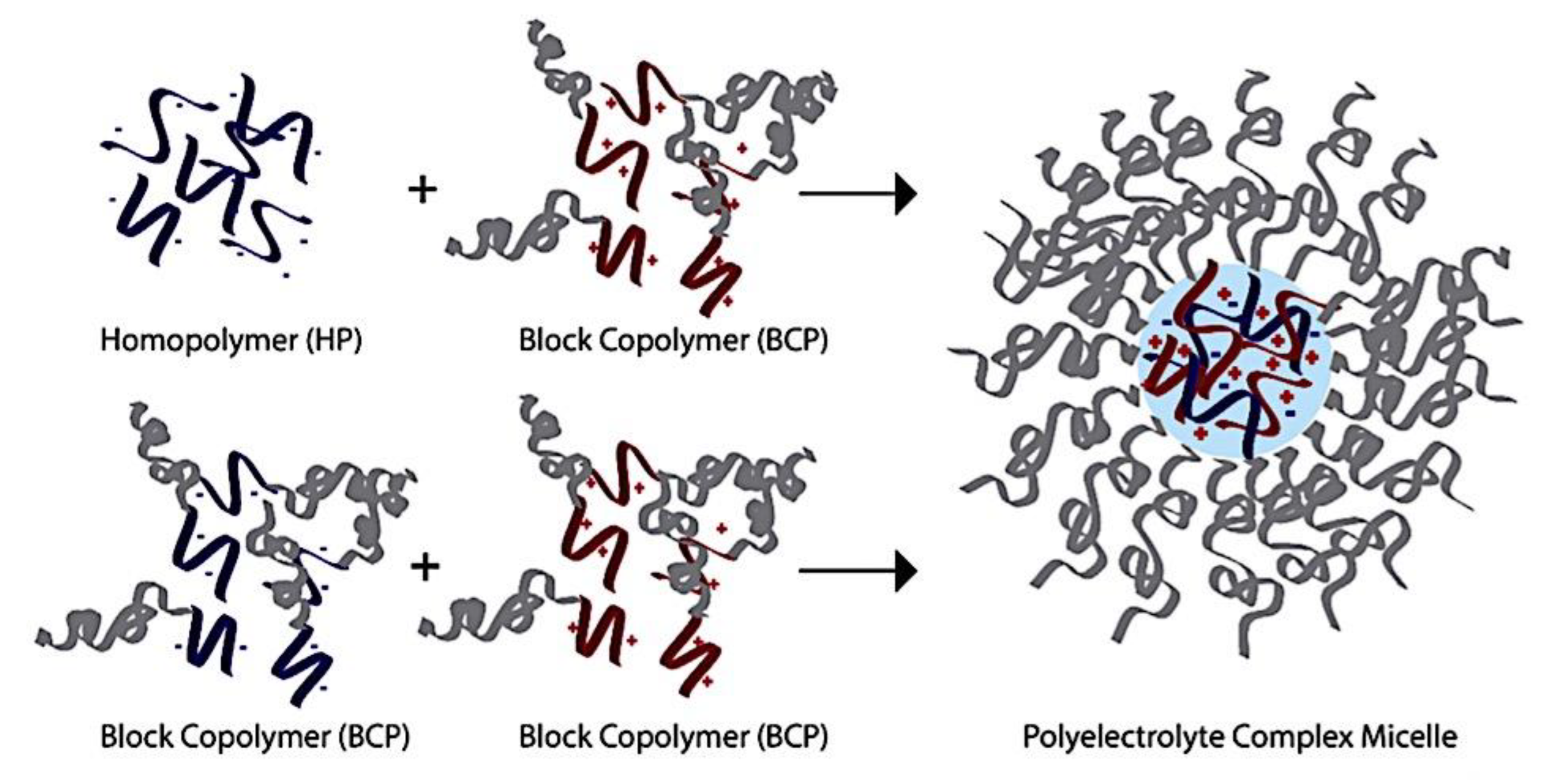 Preprints 180664 g007