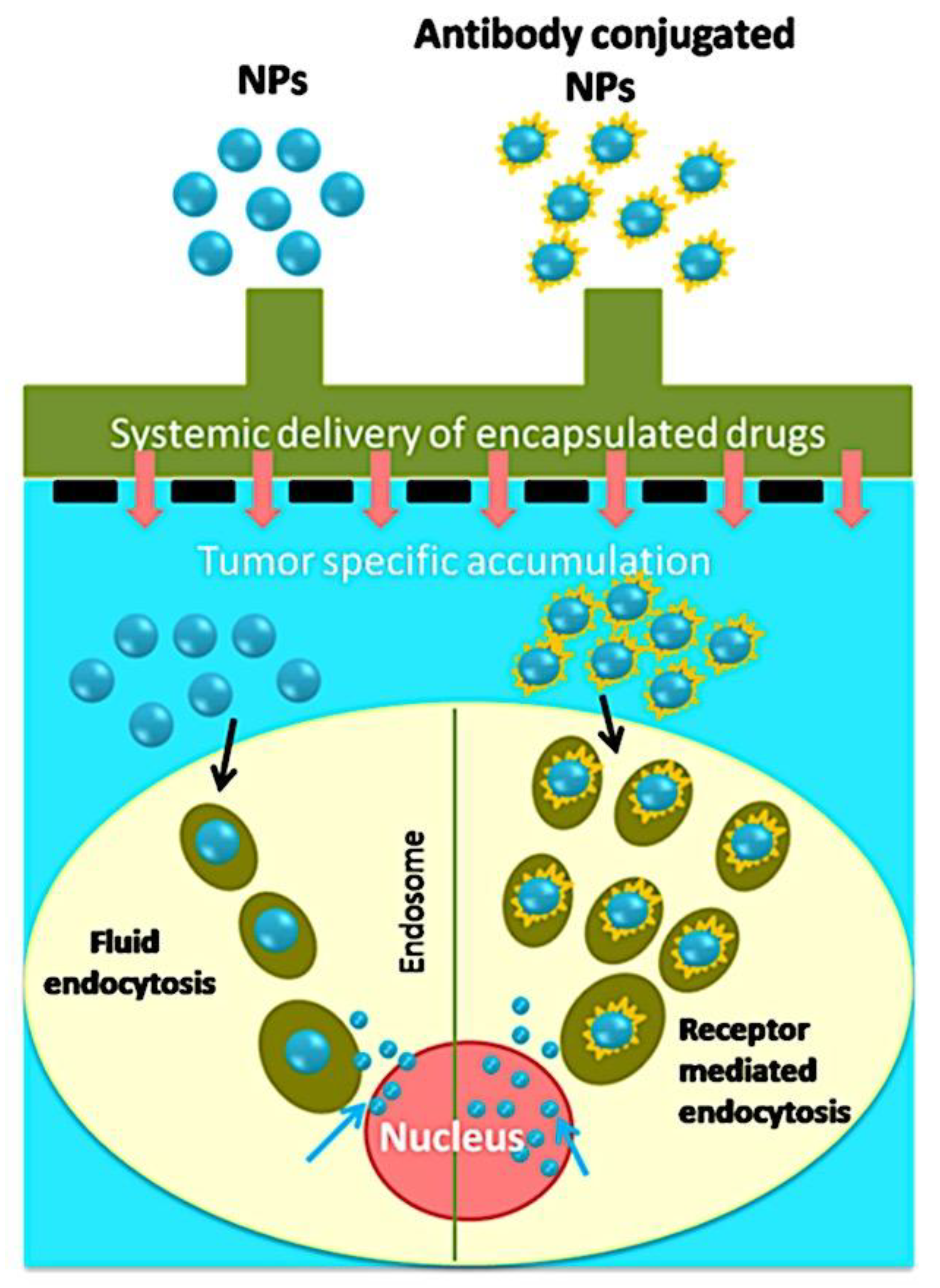 Preprints 180664 g010