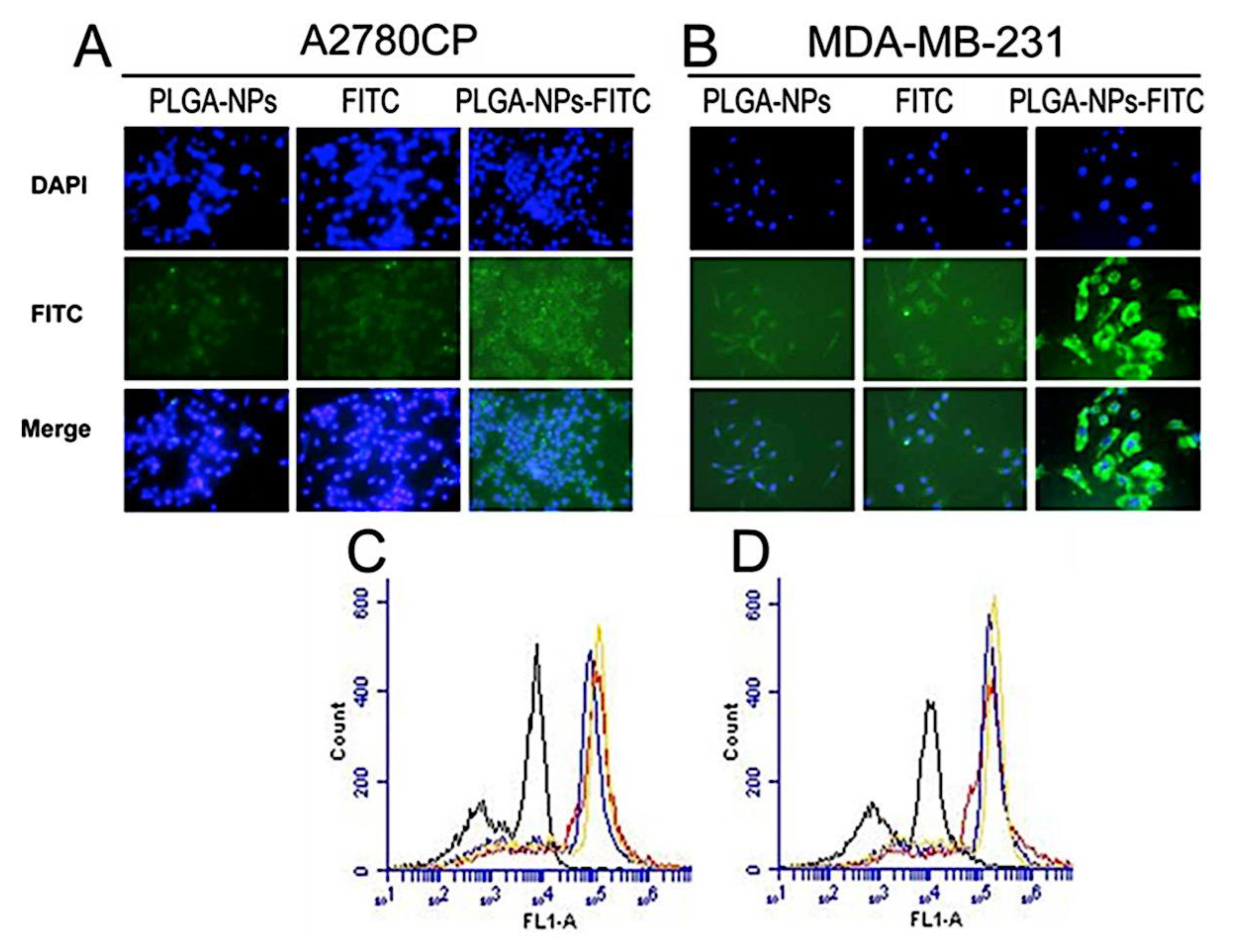 Preprints 180664 g012