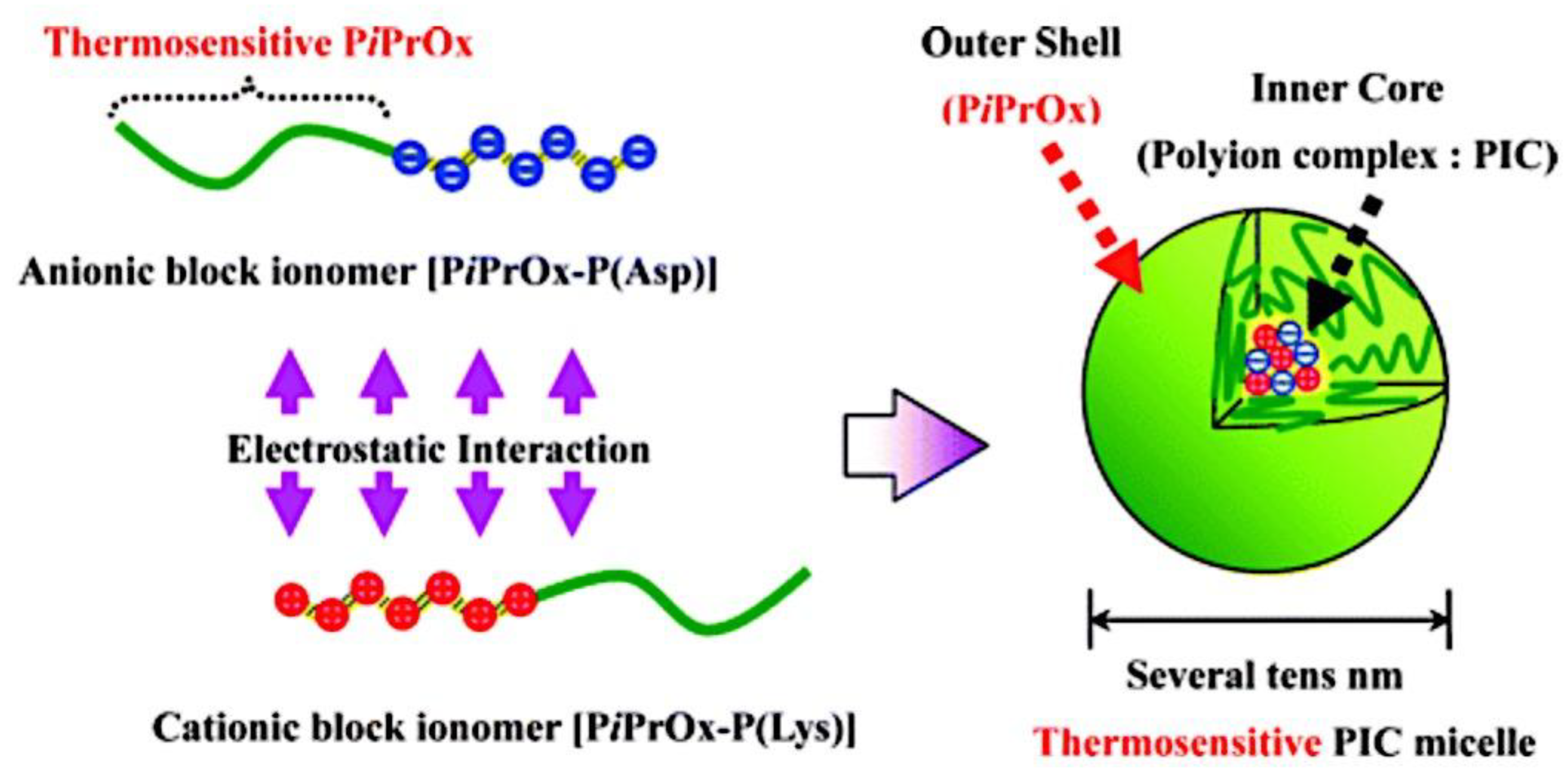 Preprints 180664 g018