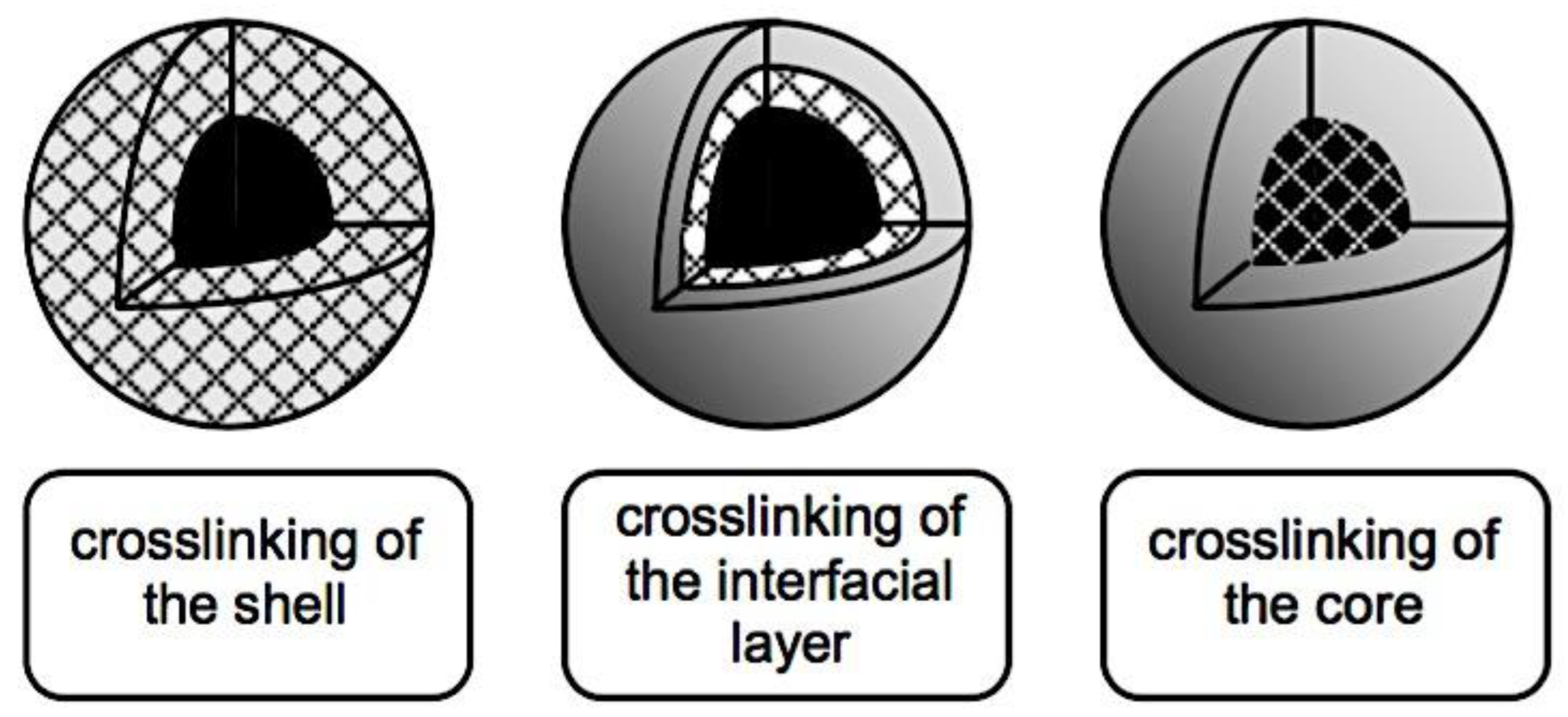 Preprints 180664 g019