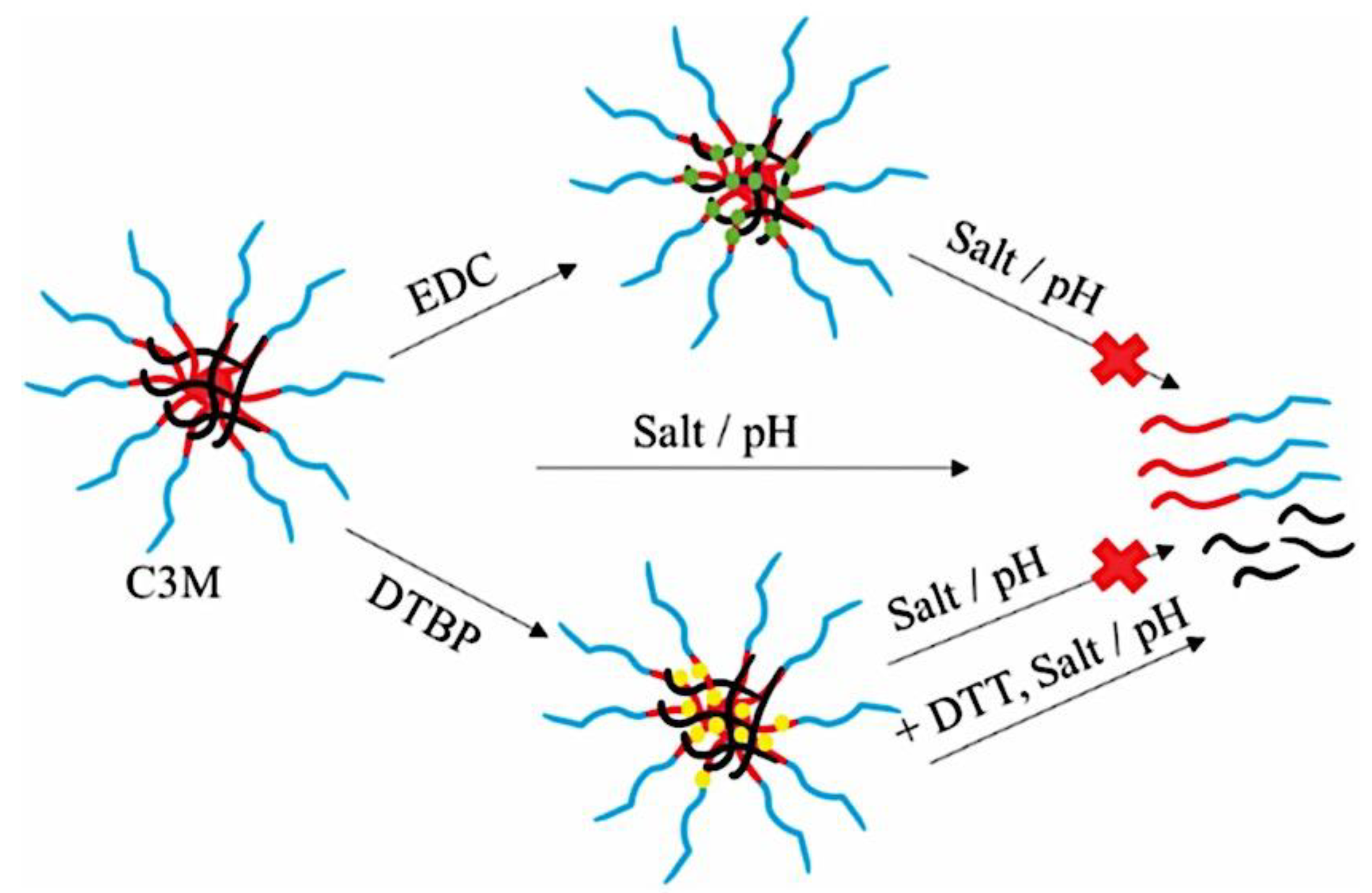 Preprints 180664 g020