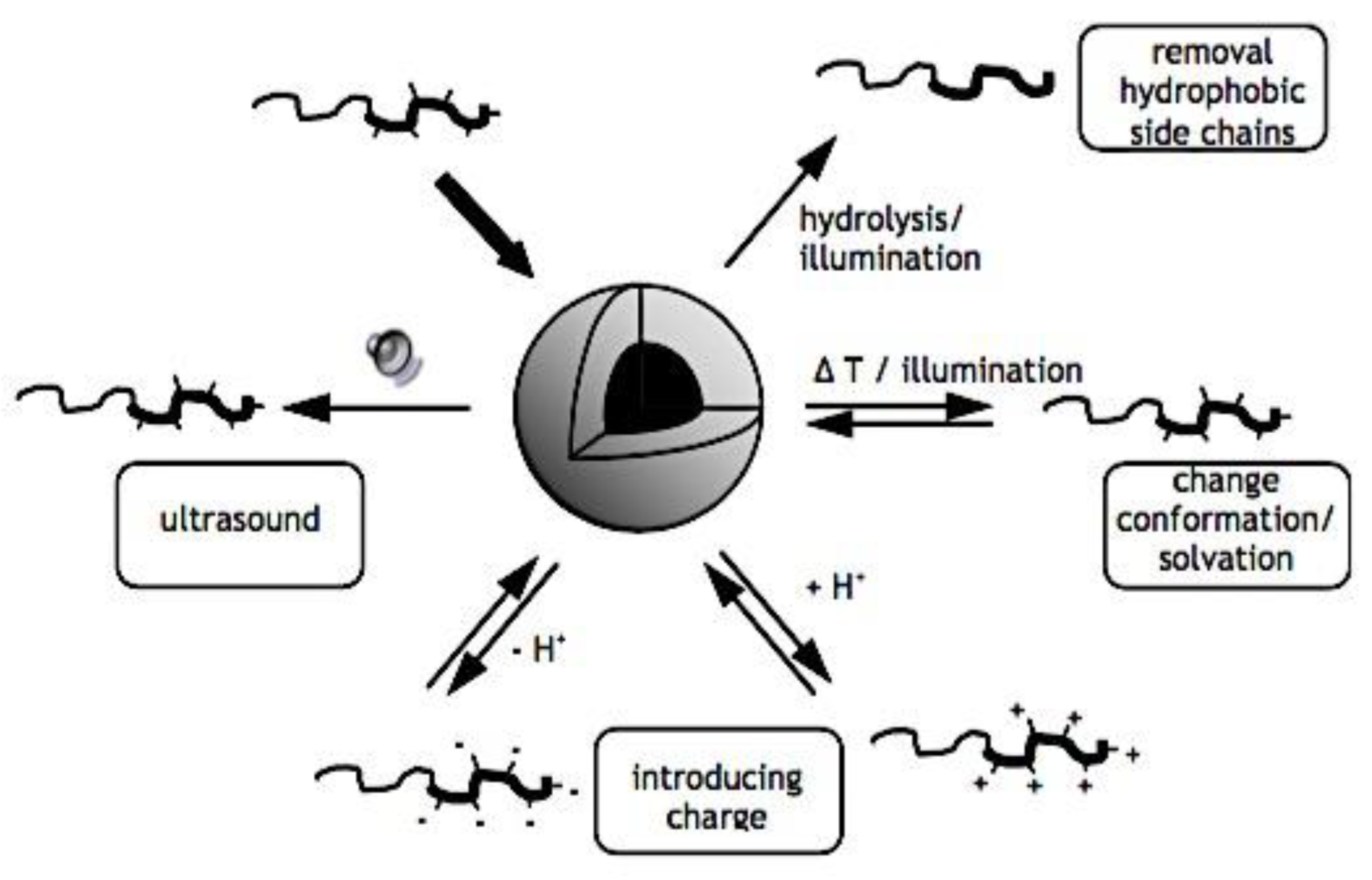 Preprints 180664 g022