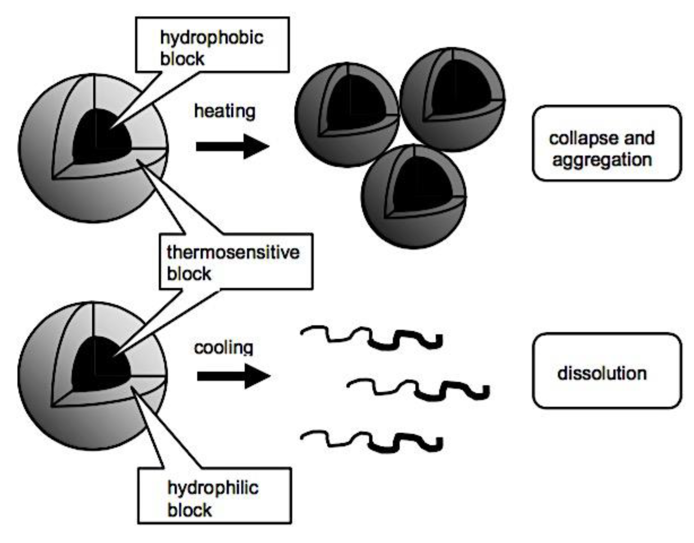 Preprints 180664 g023