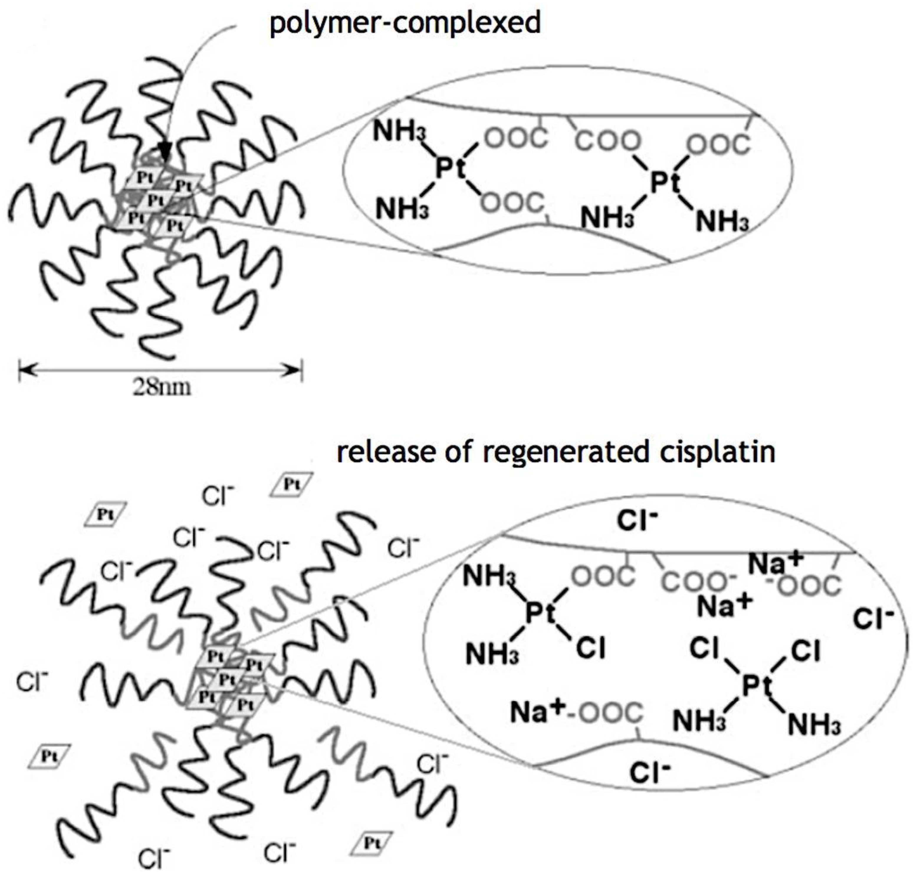 Preprints 180664 g026