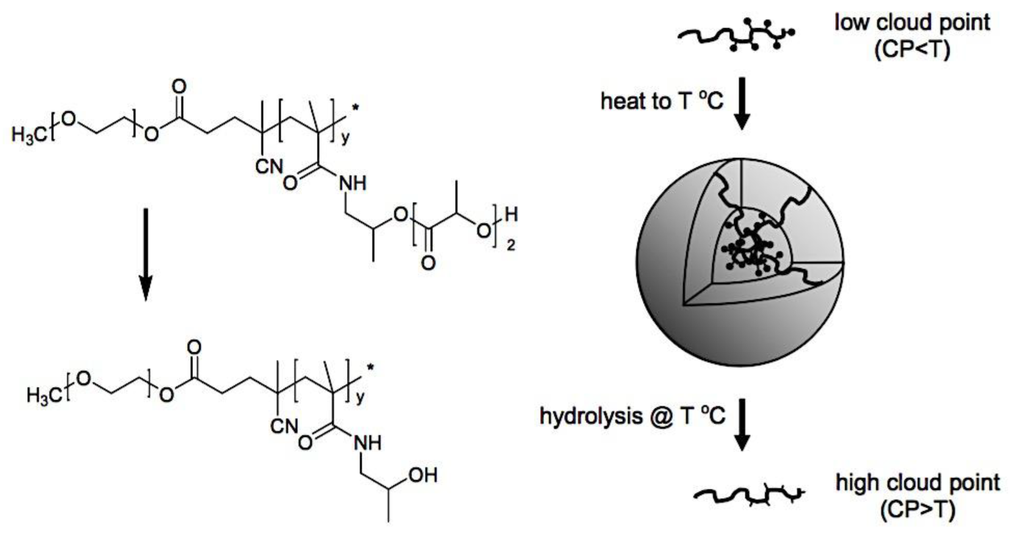 Preprints 180664 g027