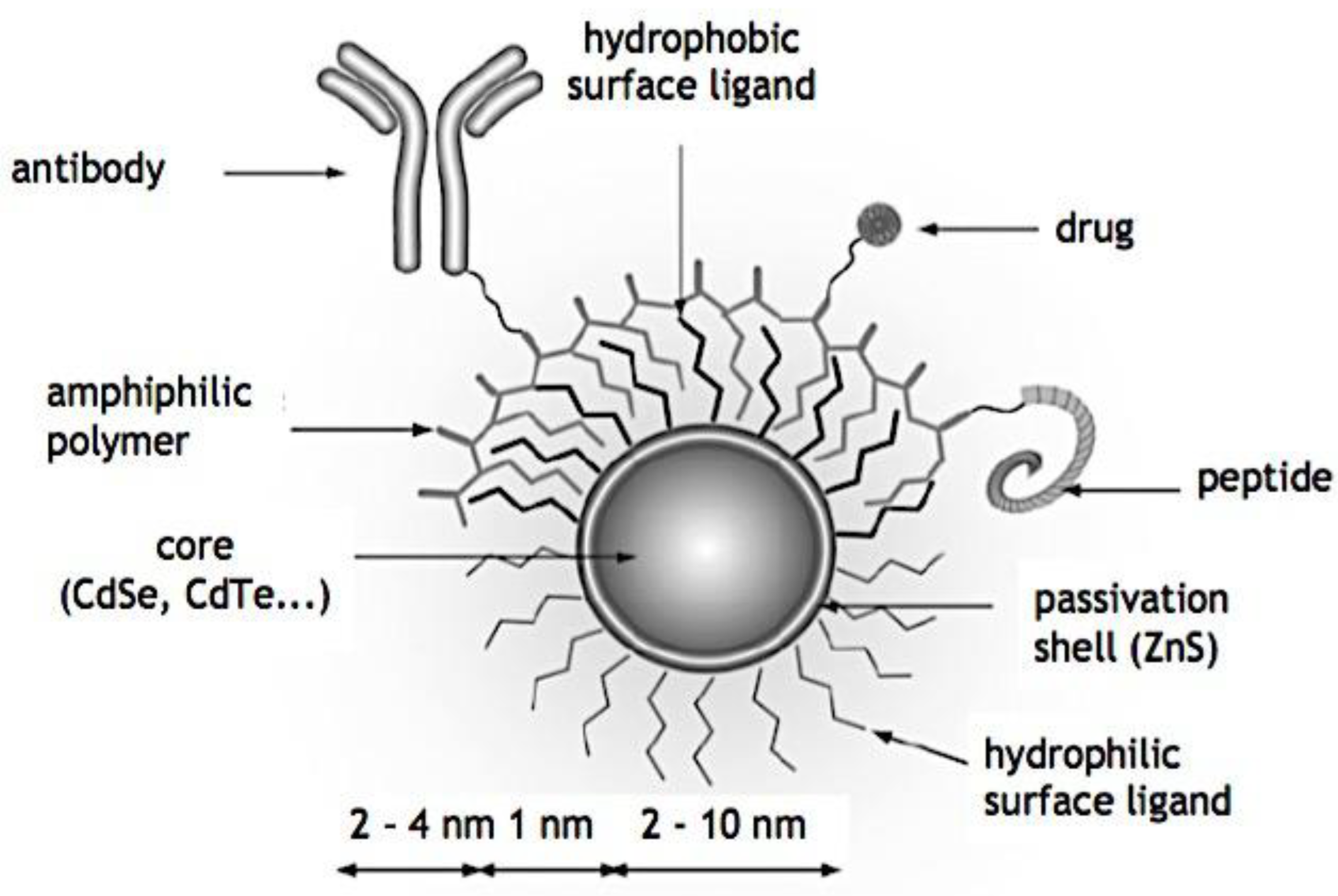 Preprints 180664 g028