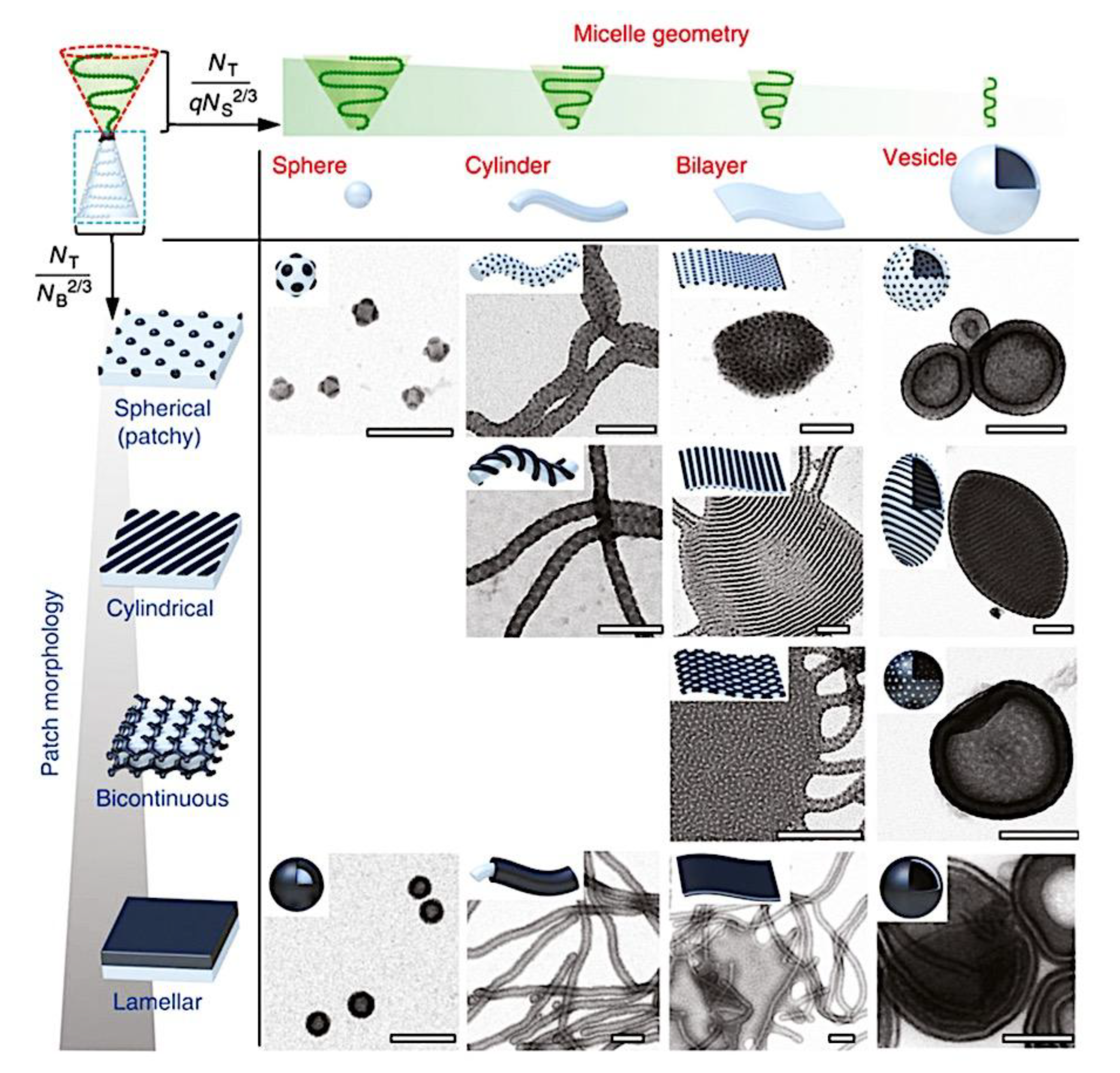 Preprints 180664 g053