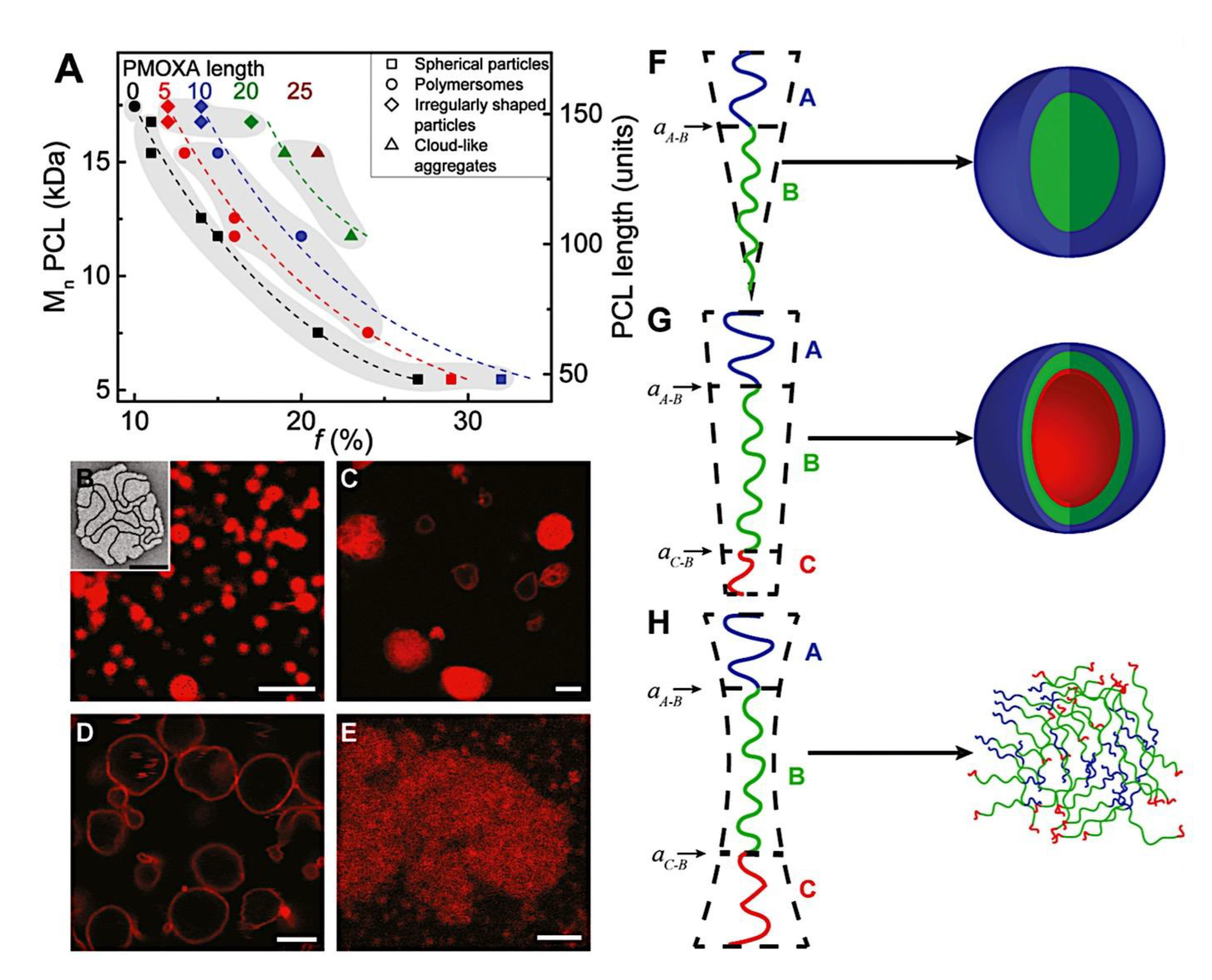 Preprints 180664 g054