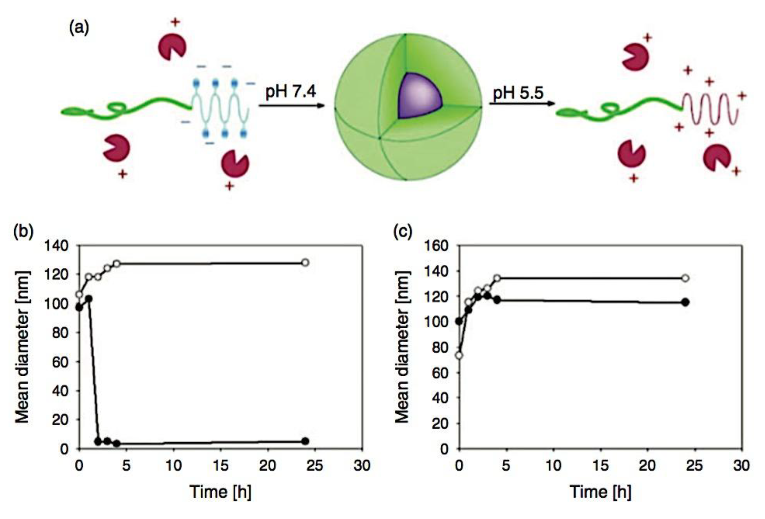 Preprints 180664 g062