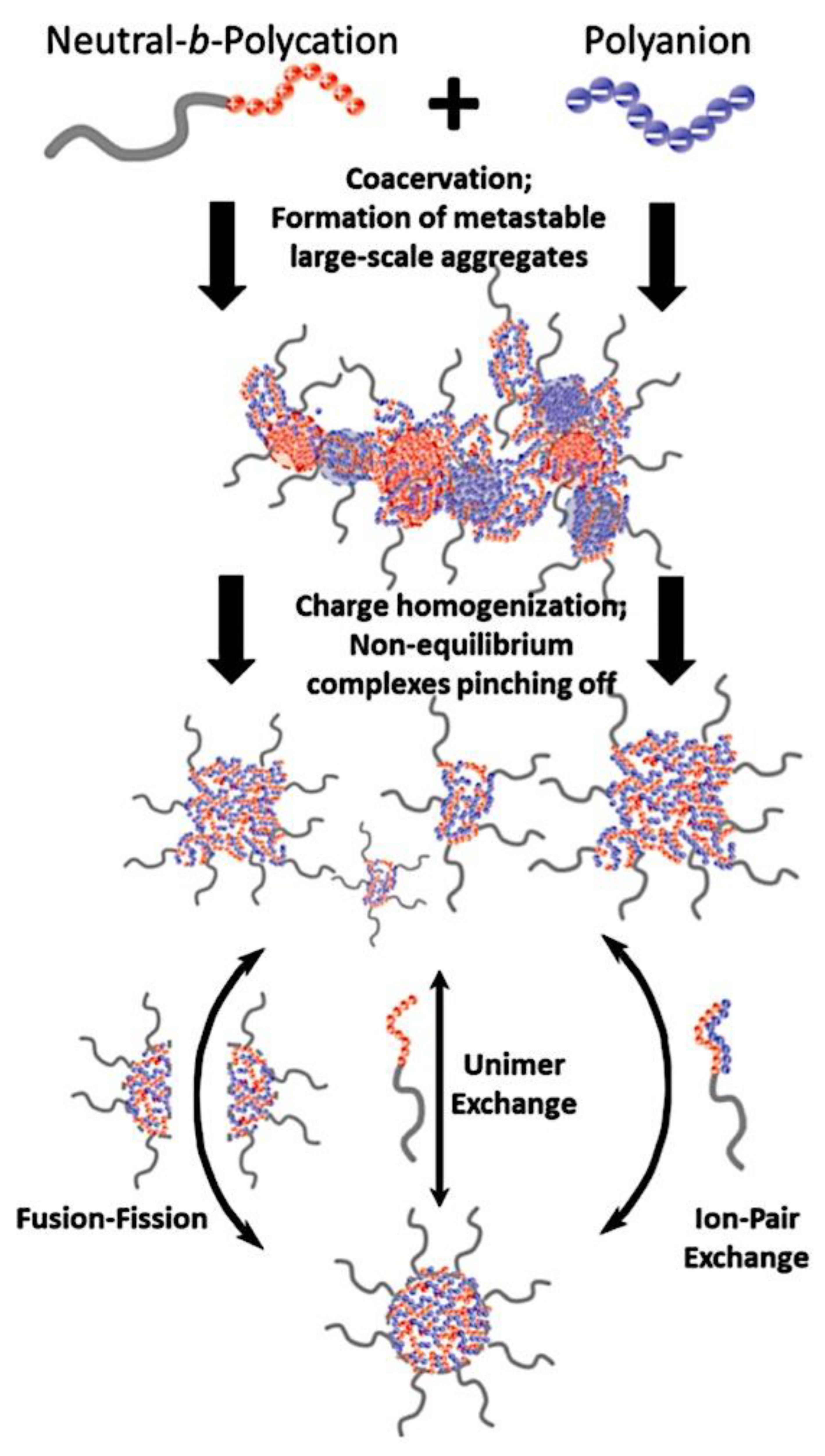 Preprints 180664 g063