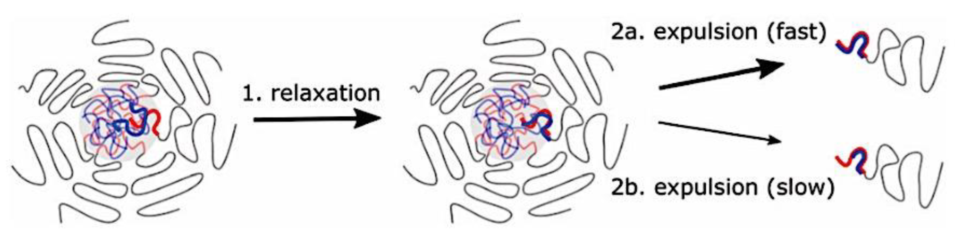 Preprints 180664 g071