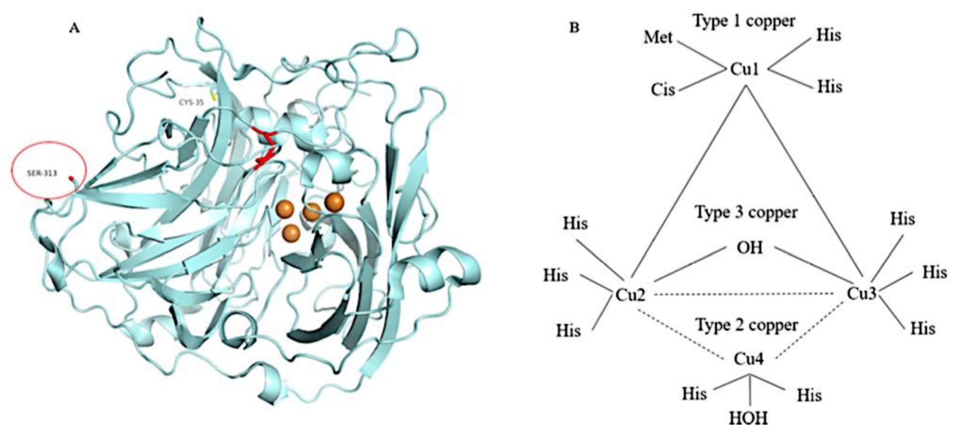Preprints 180664 g072