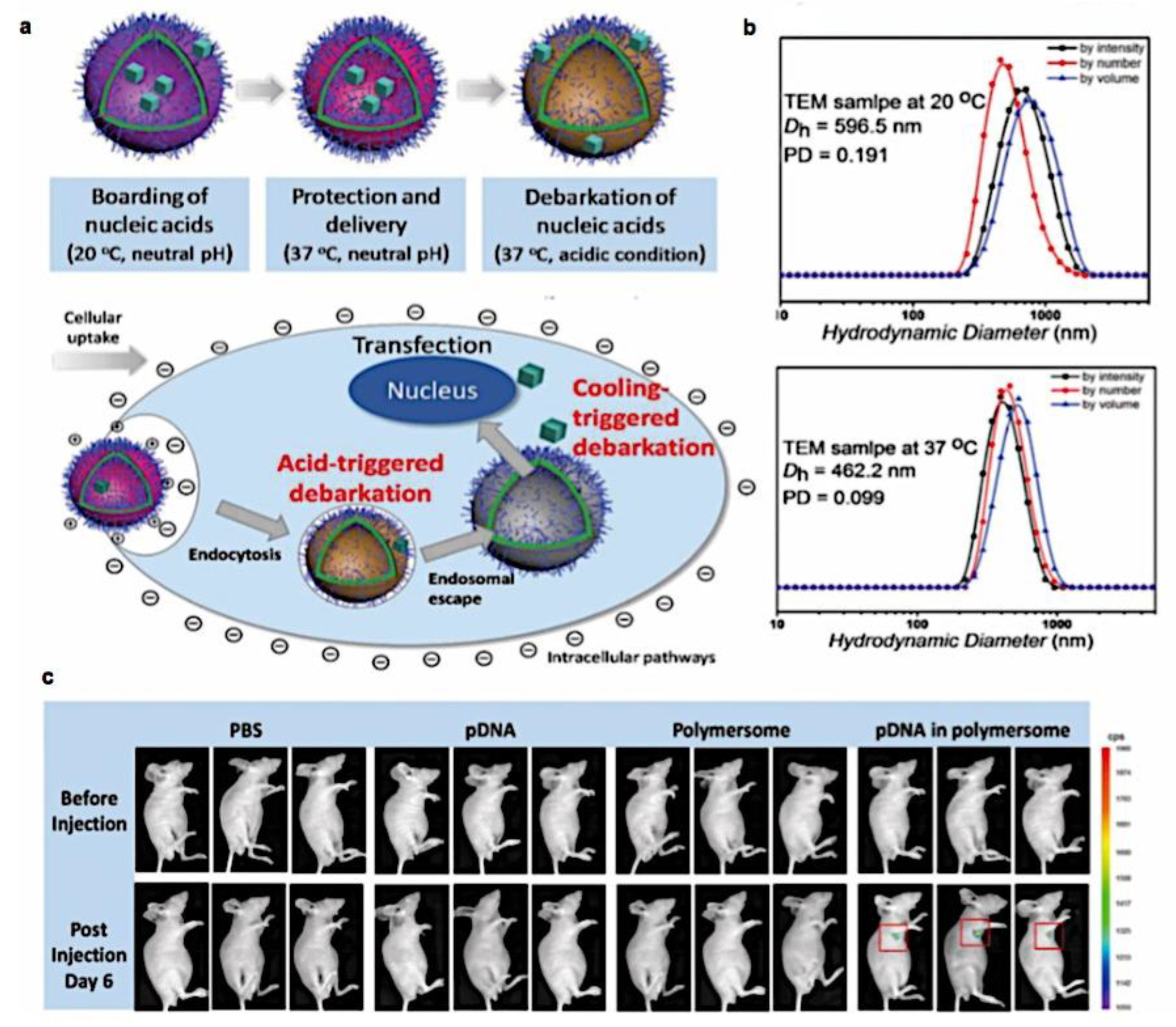 Preprints 180664 g075