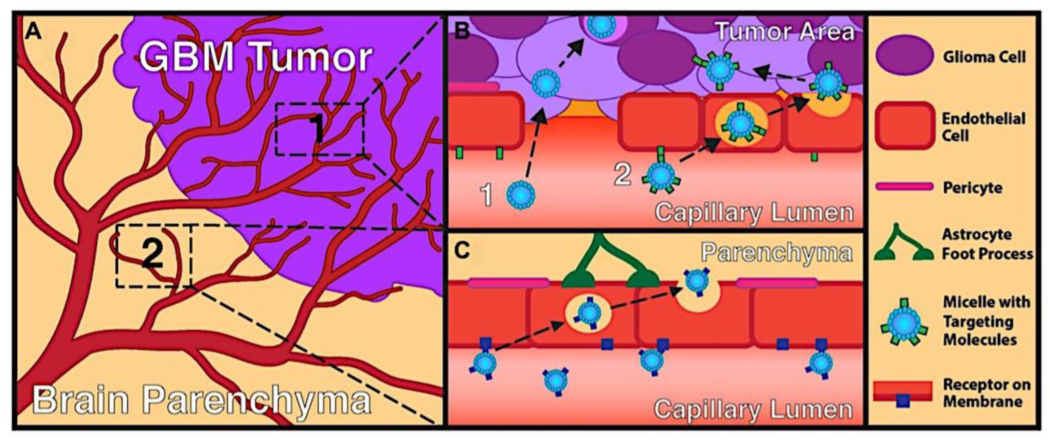 Preprints 180664 g077