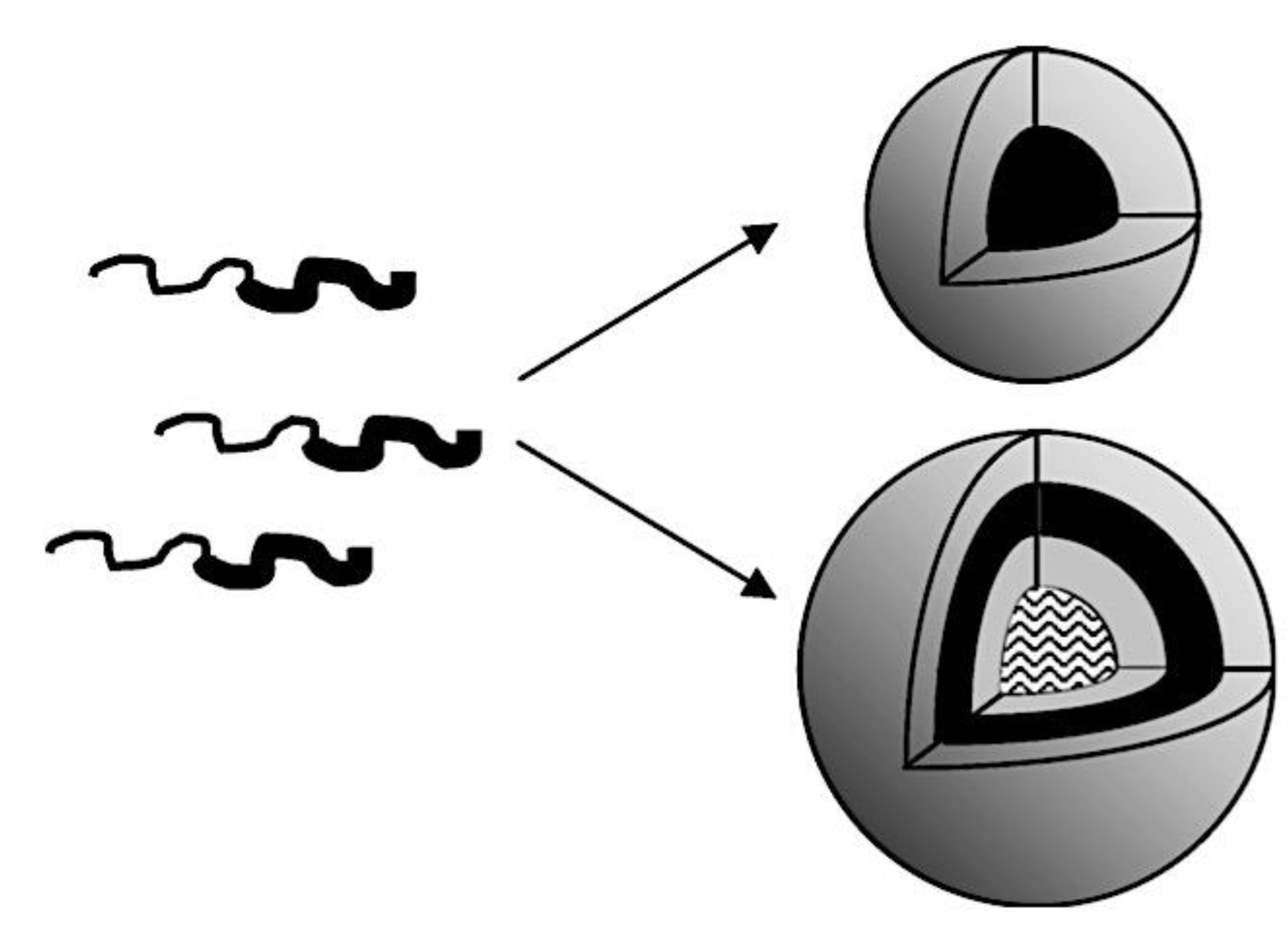 Preprints 180664 g078