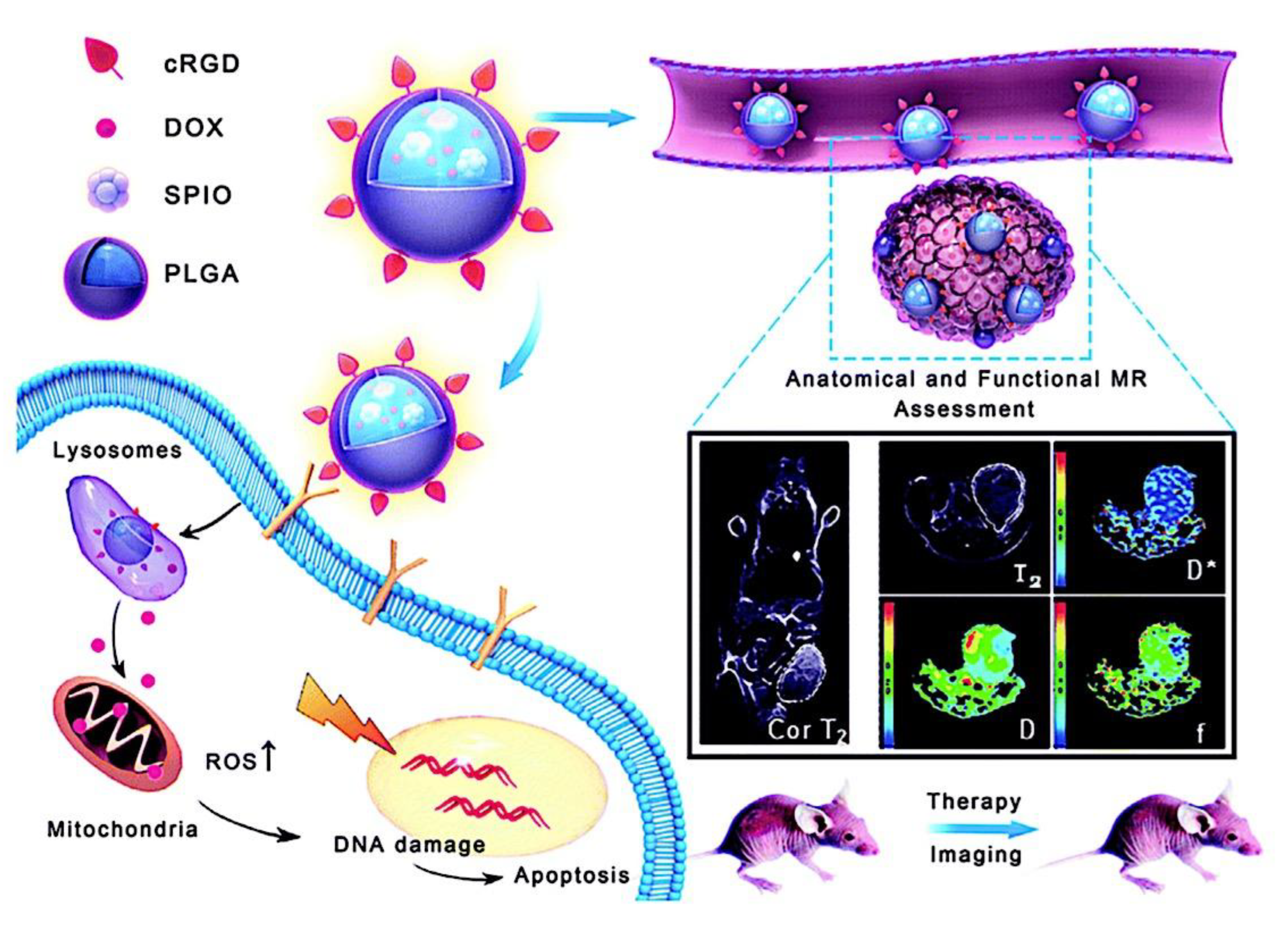 Preprints 180664 g080