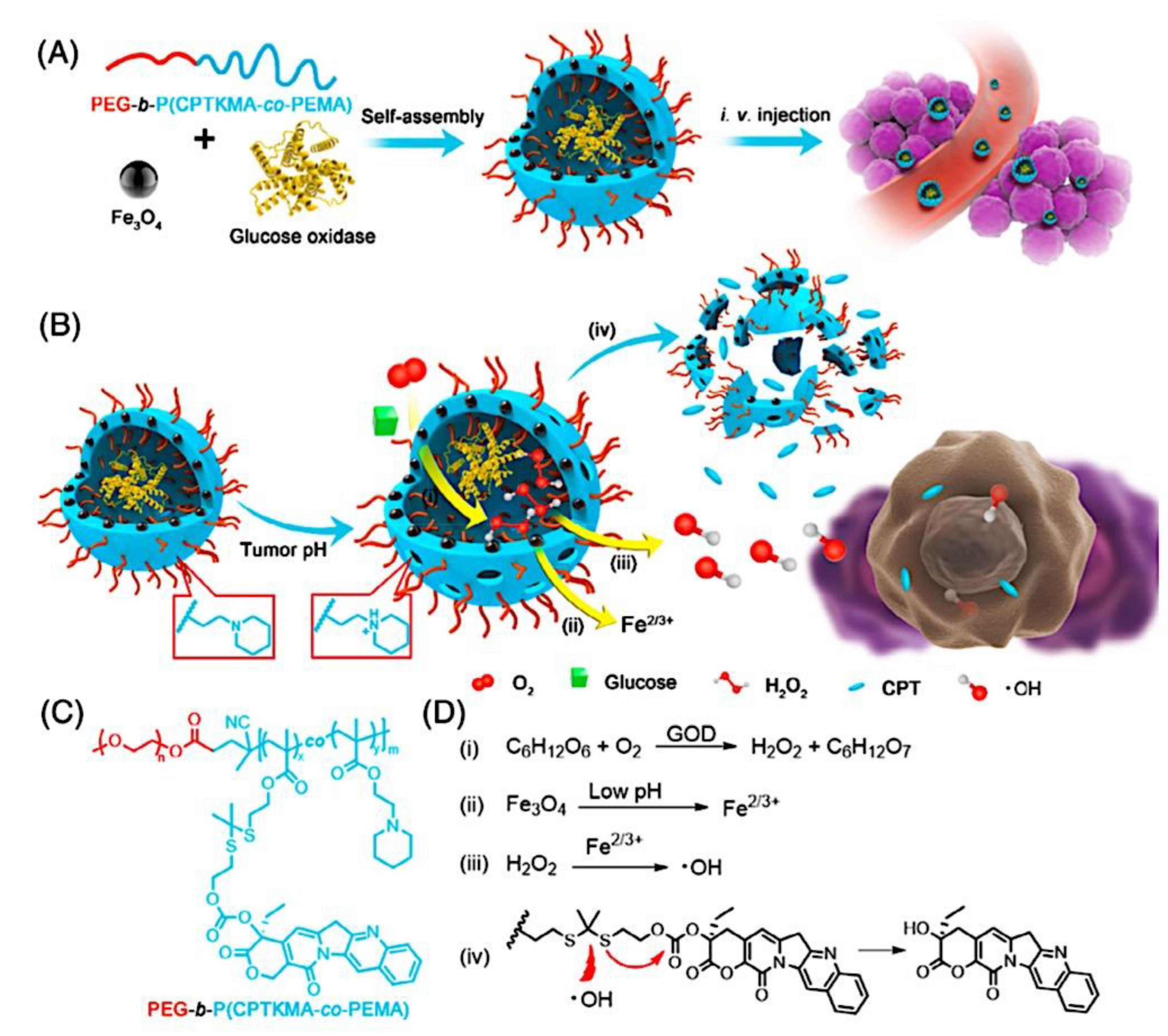 Preprints 180664 g081