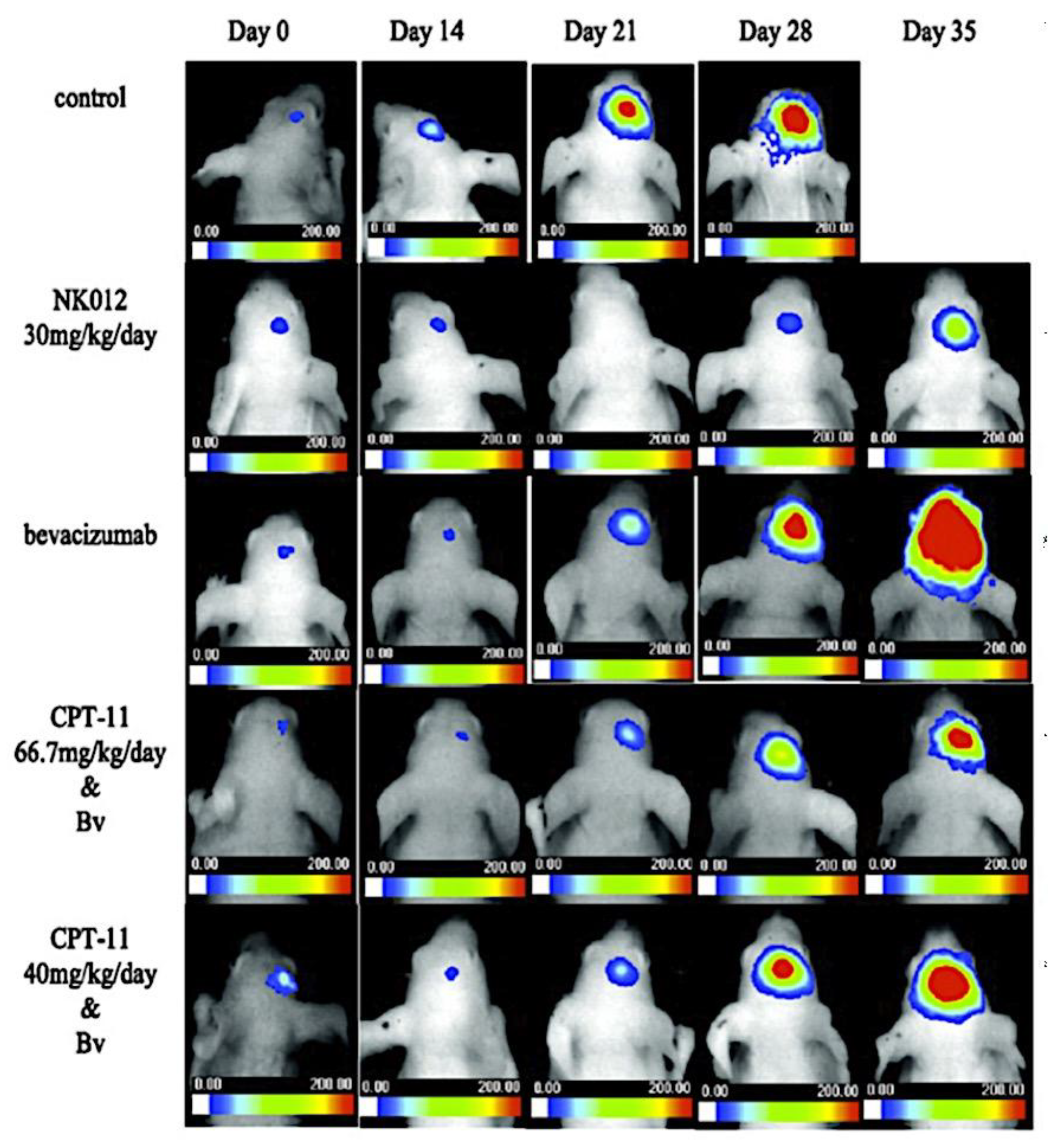 Preprints 180664 g085