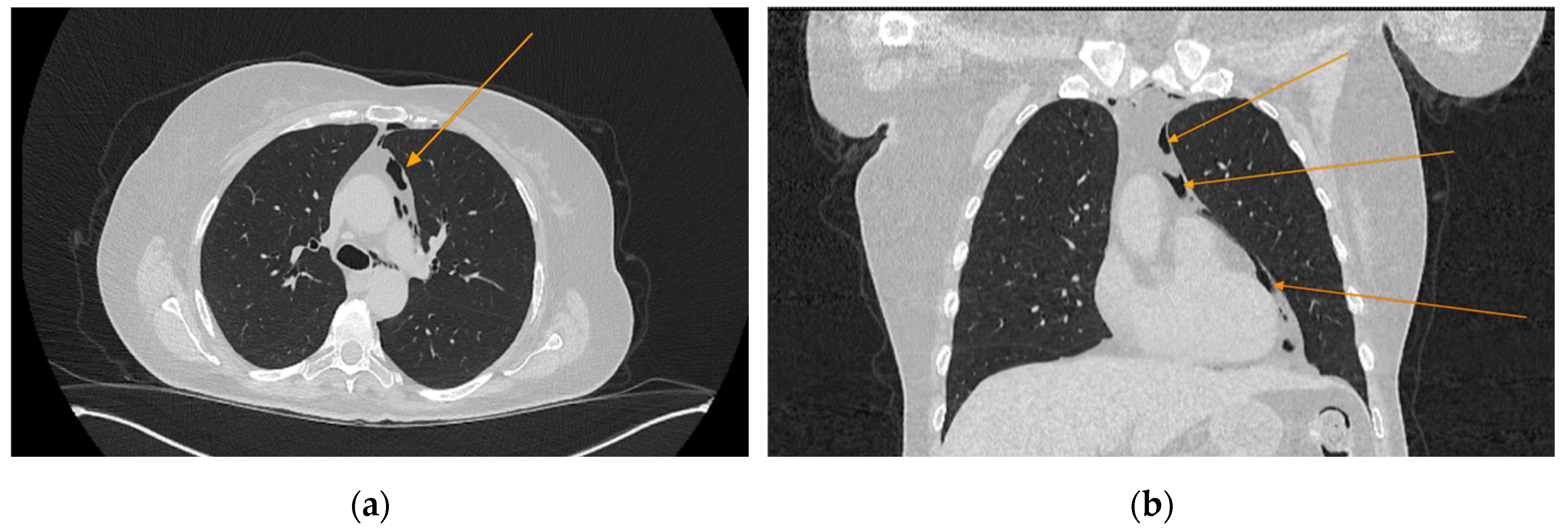Preprints 156036 g001