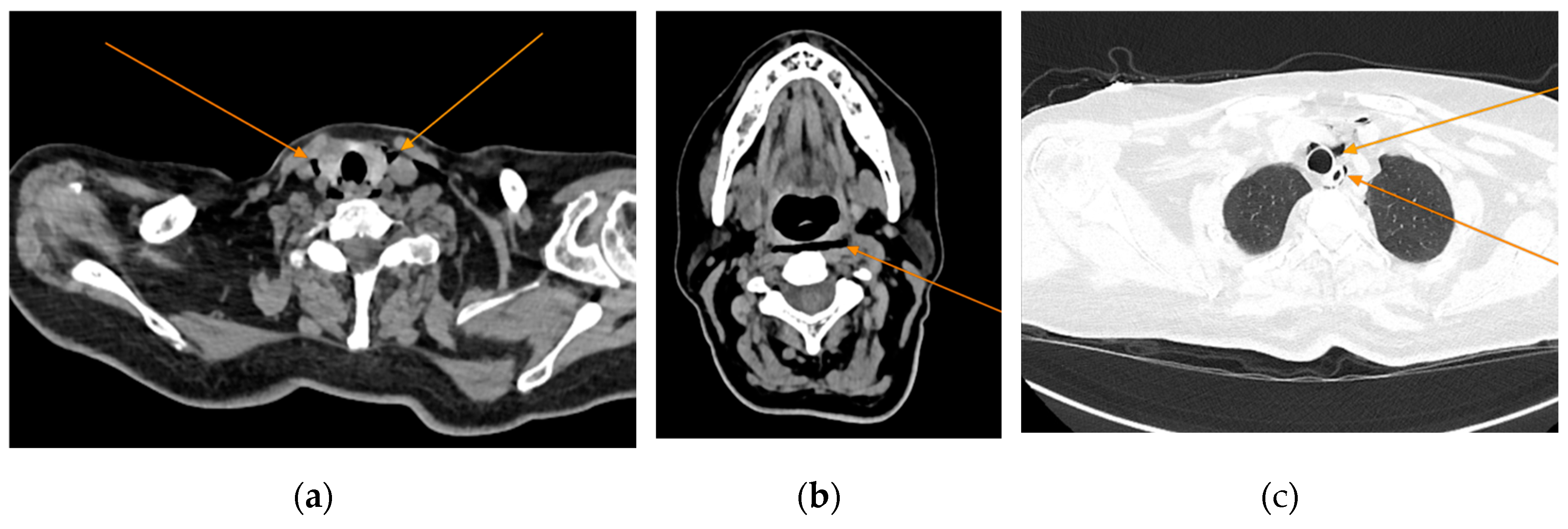 Preprints 156036 g003