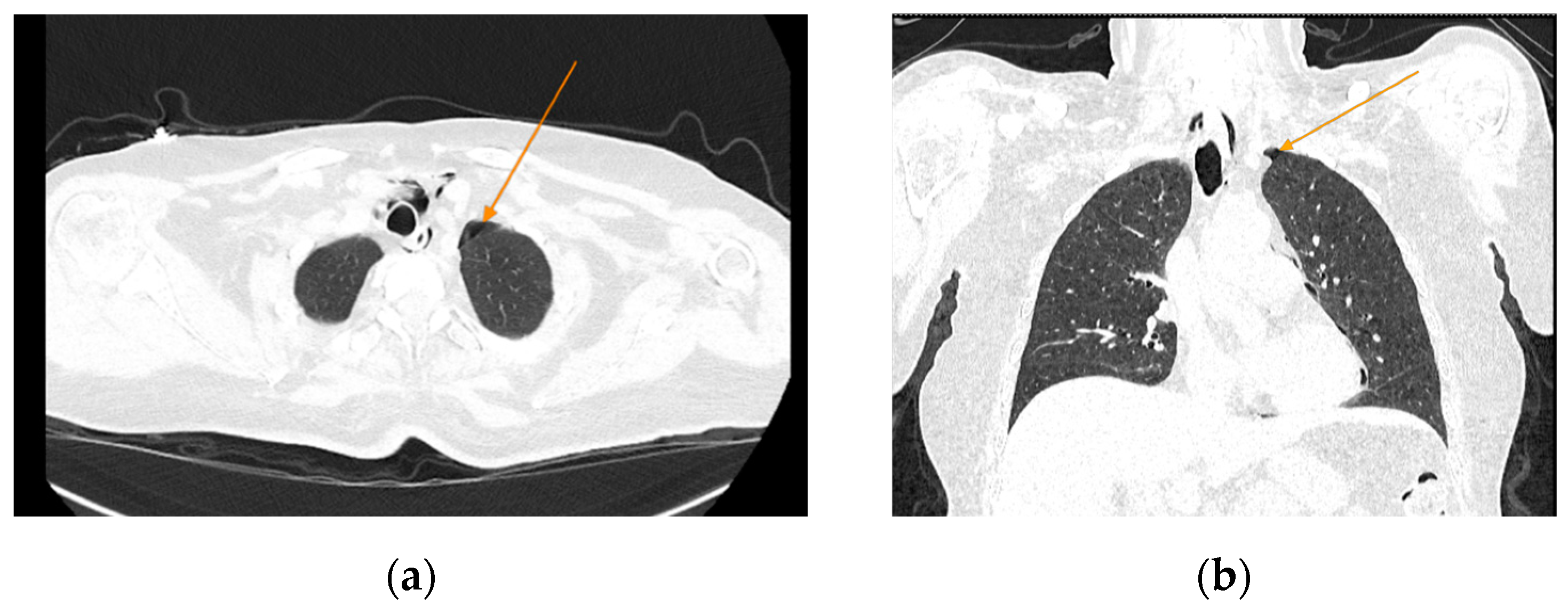 Preprints 156036 g005