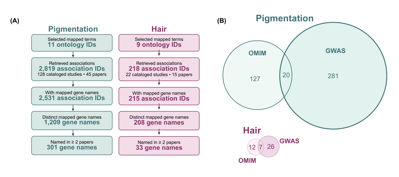 Preprints 237116 g003 Preprints 237116 g003