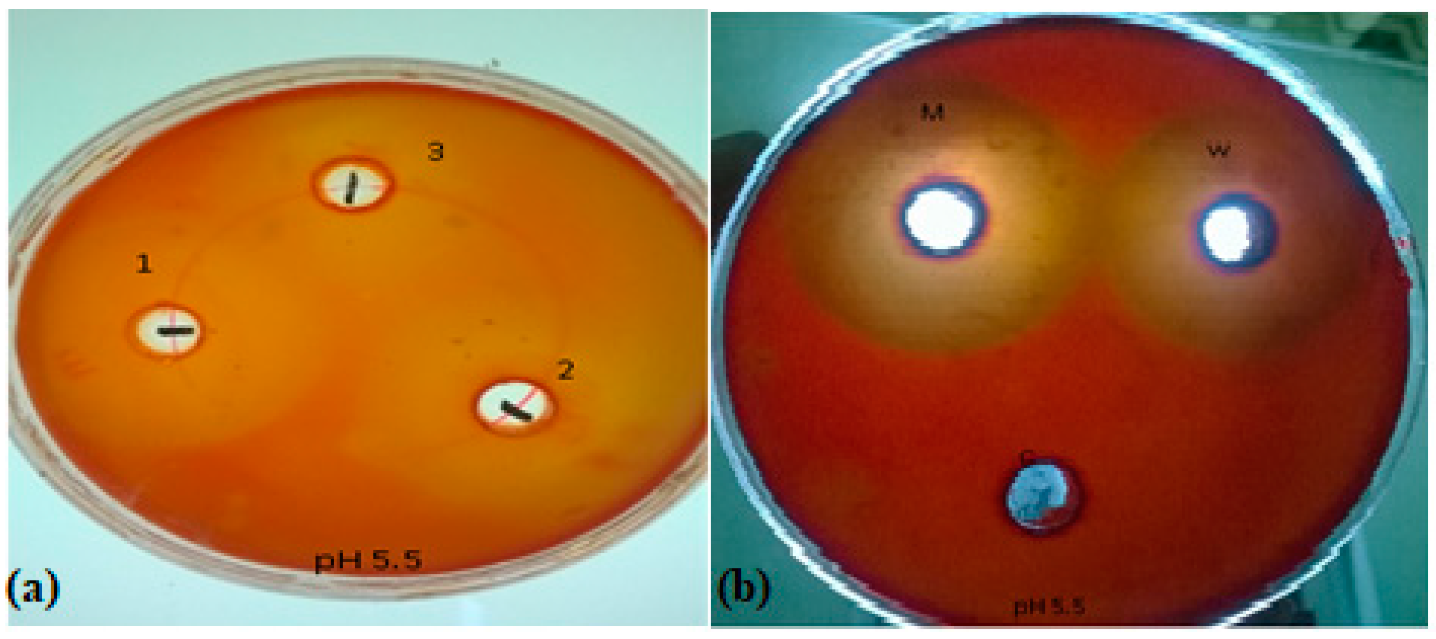 Preprints 149602 g001