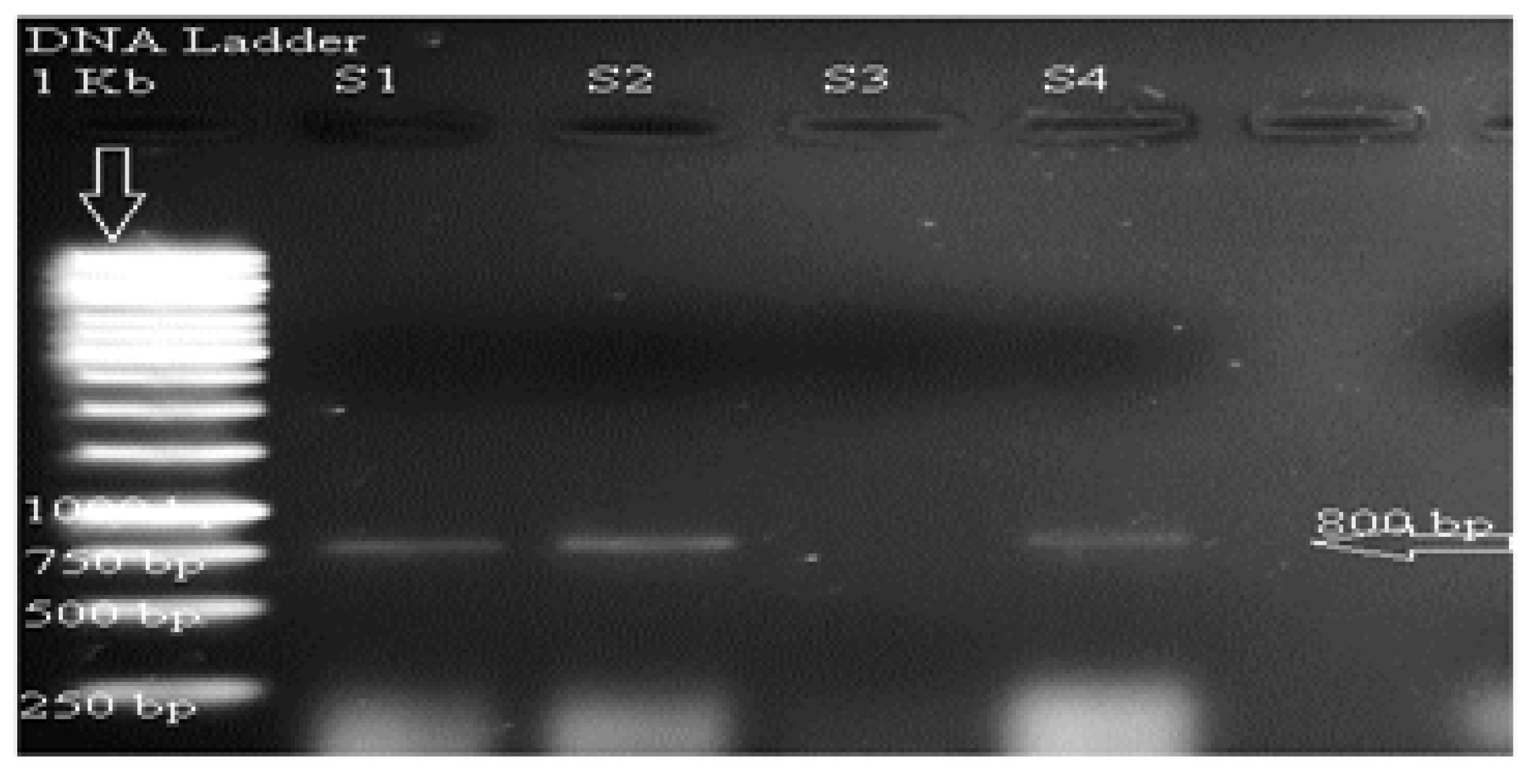 Preprints 149602 g008